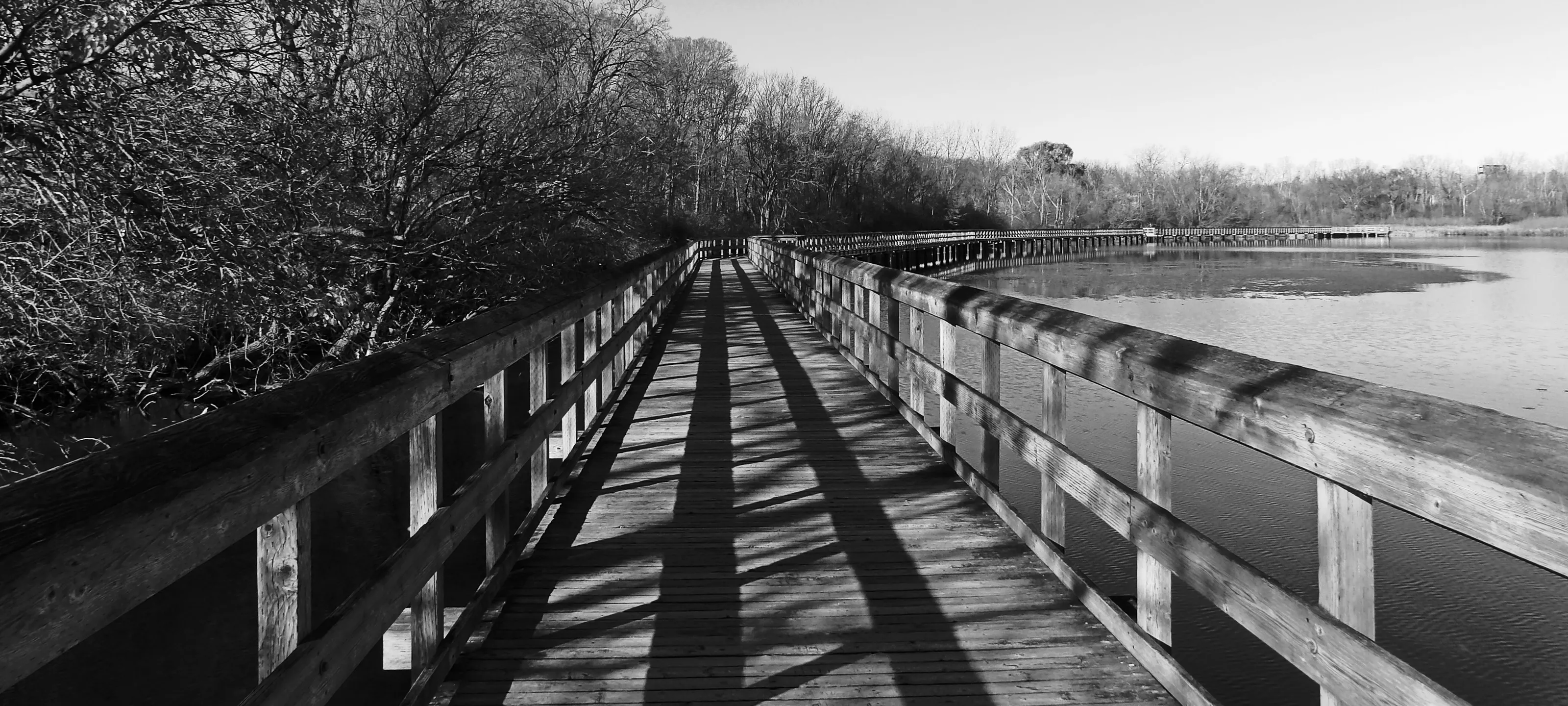 Straight-Line Shadows in Black and White