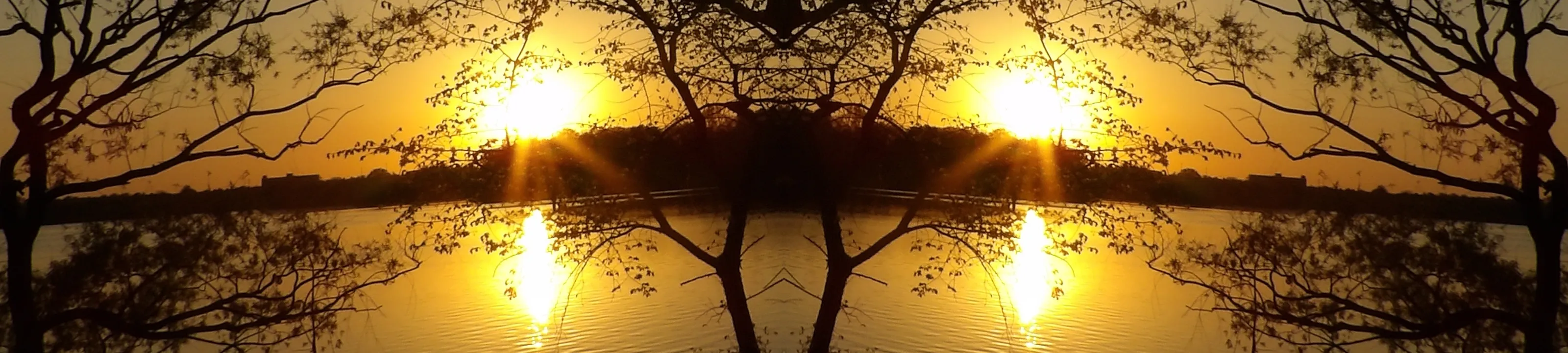 Nature Mirrored in Image Editing