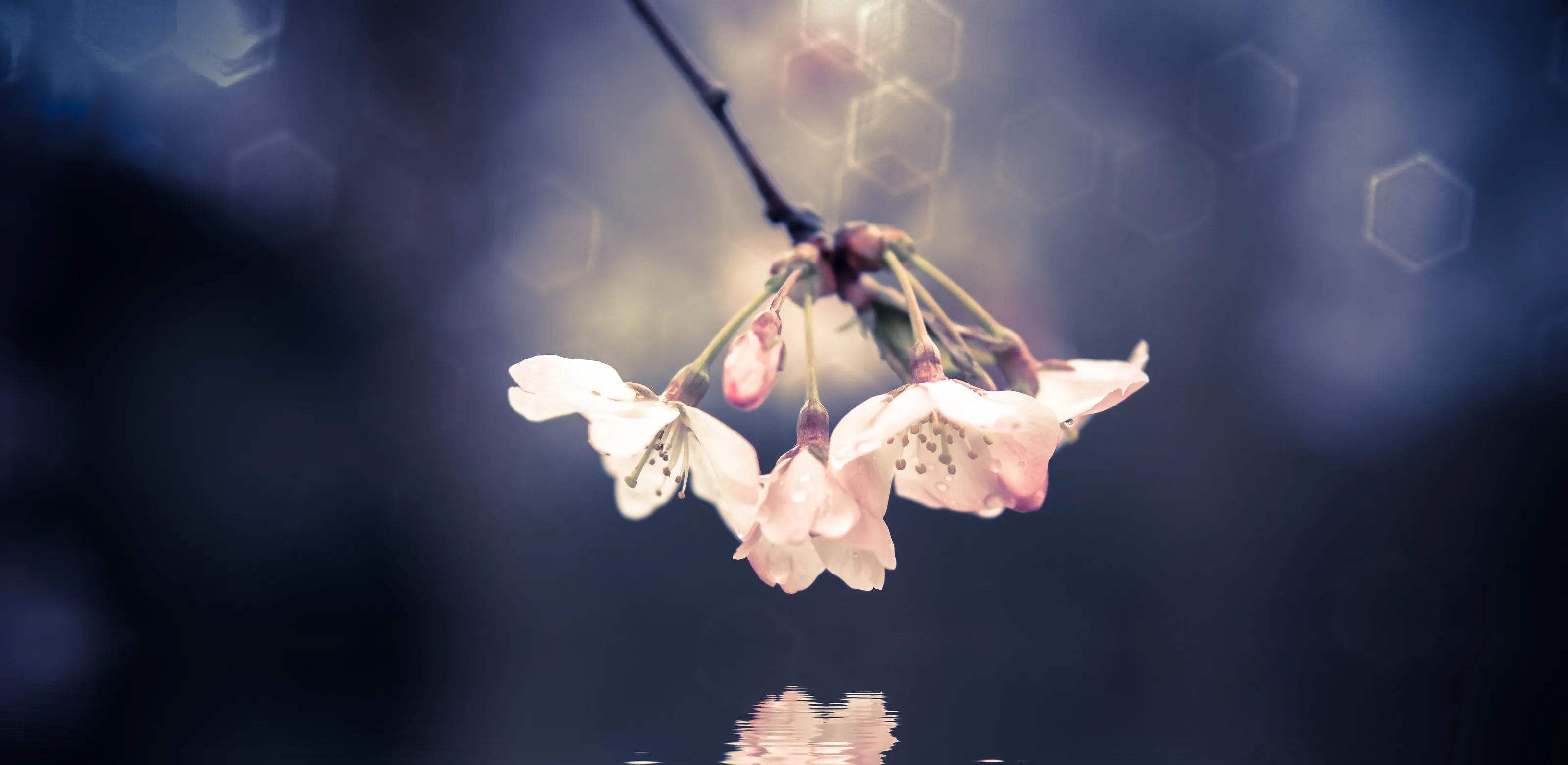 Signs of Spring