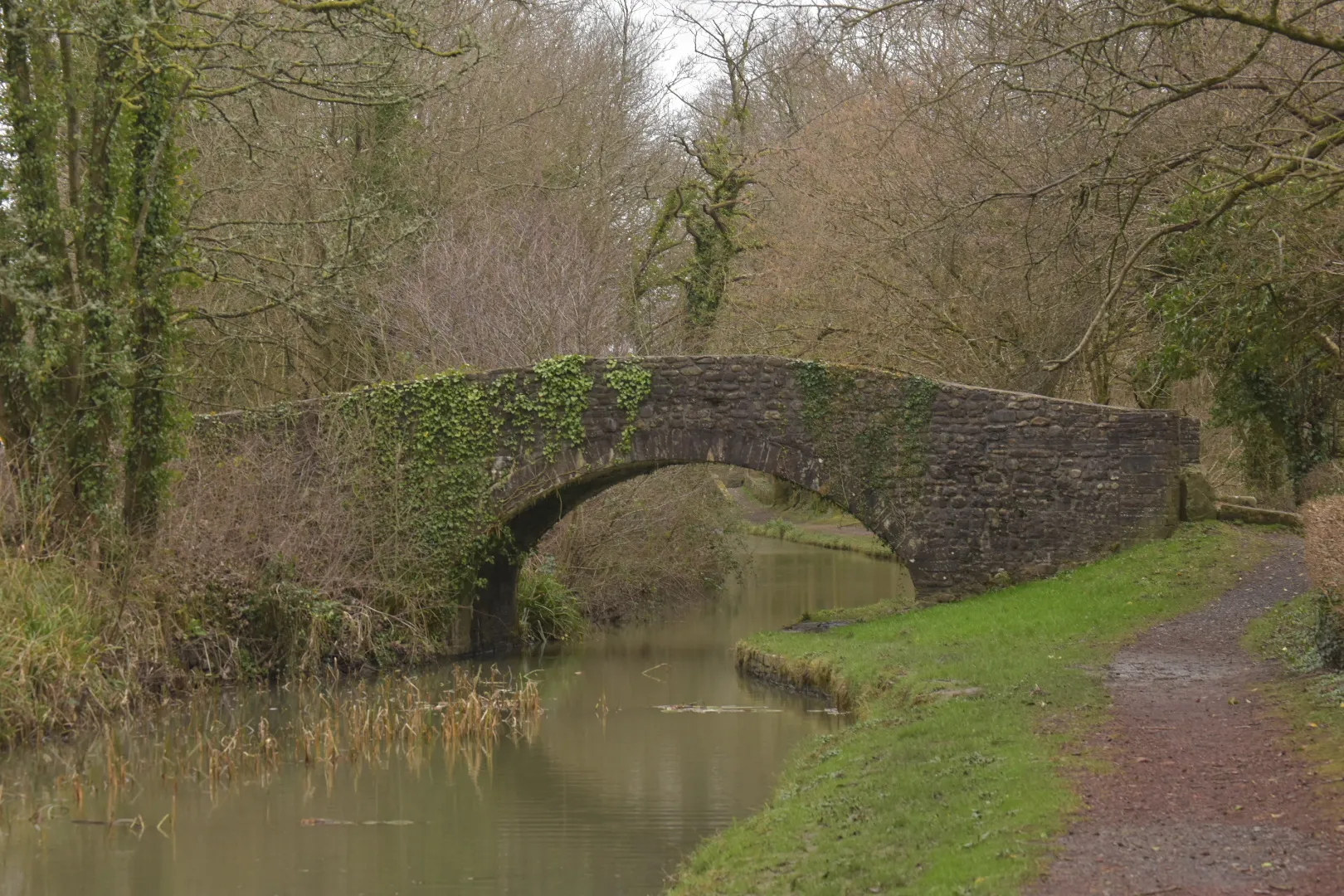 Bridges