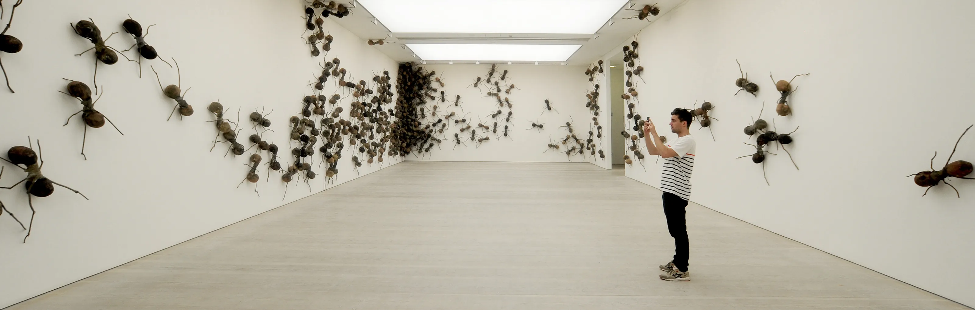 Museums and galleries