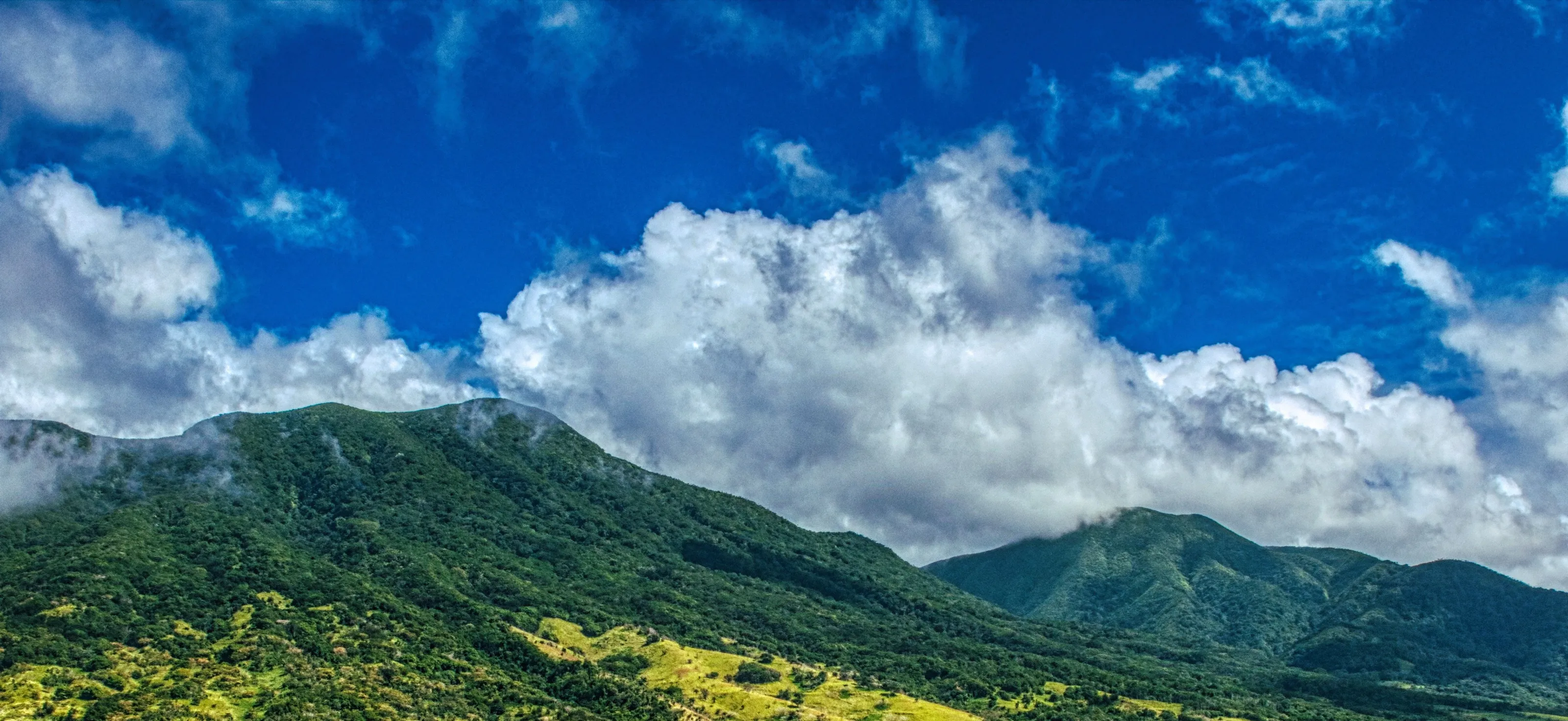White, Puffy Clouds