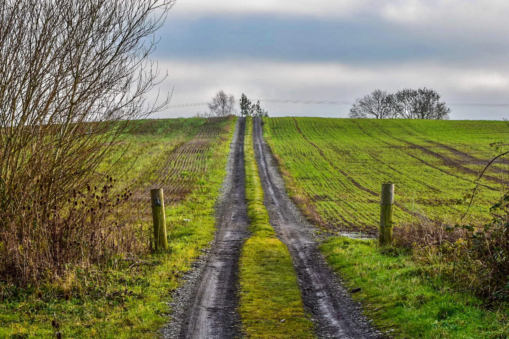 Farm Tracks (in colour)