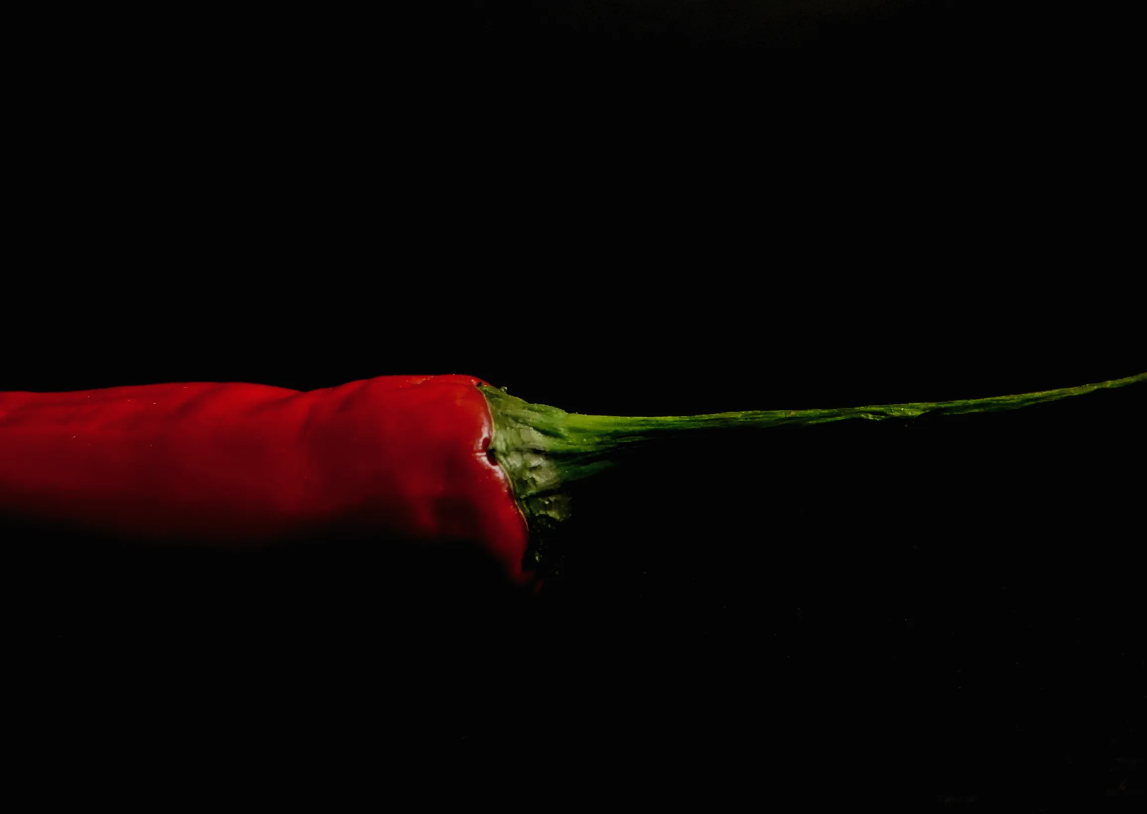 Red Hot Chilli Peppers