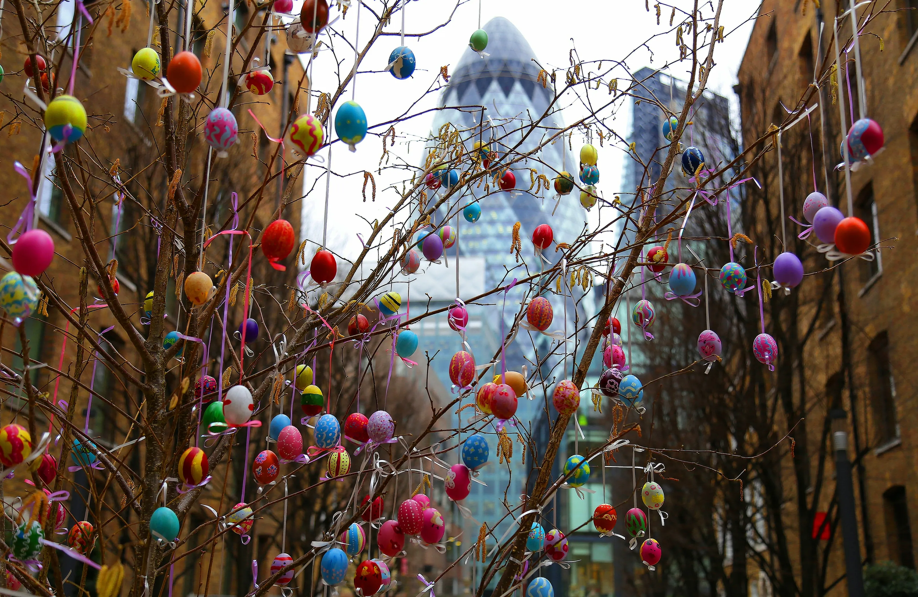Decorated Eggs in Colour (no people)
