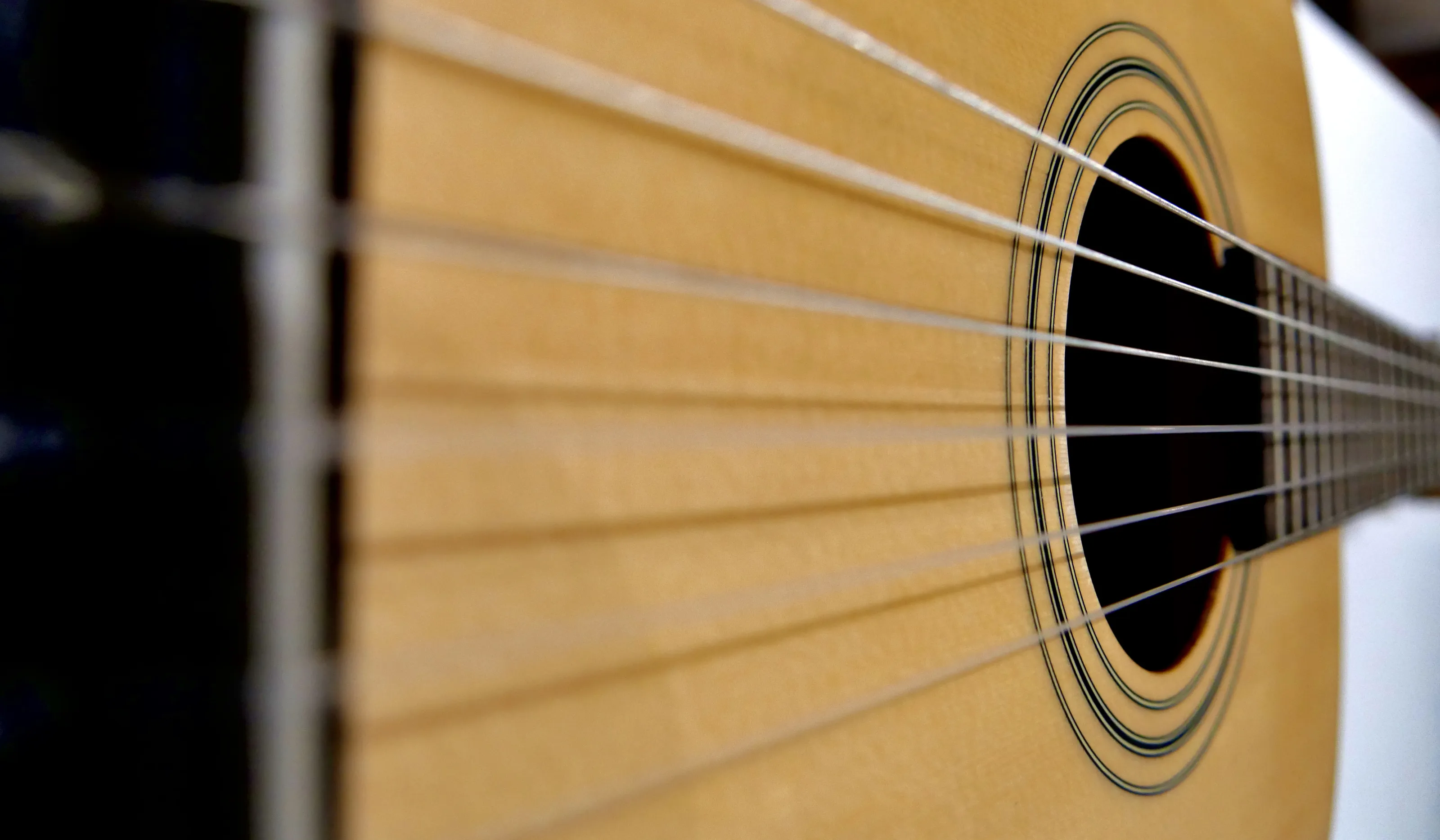Stringed Musical Instruments (no people)