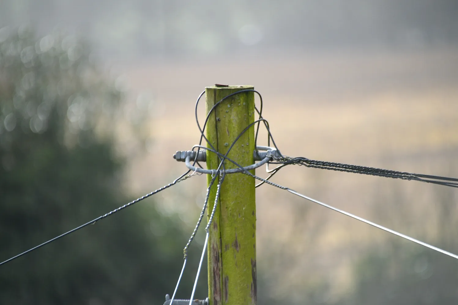 Cables