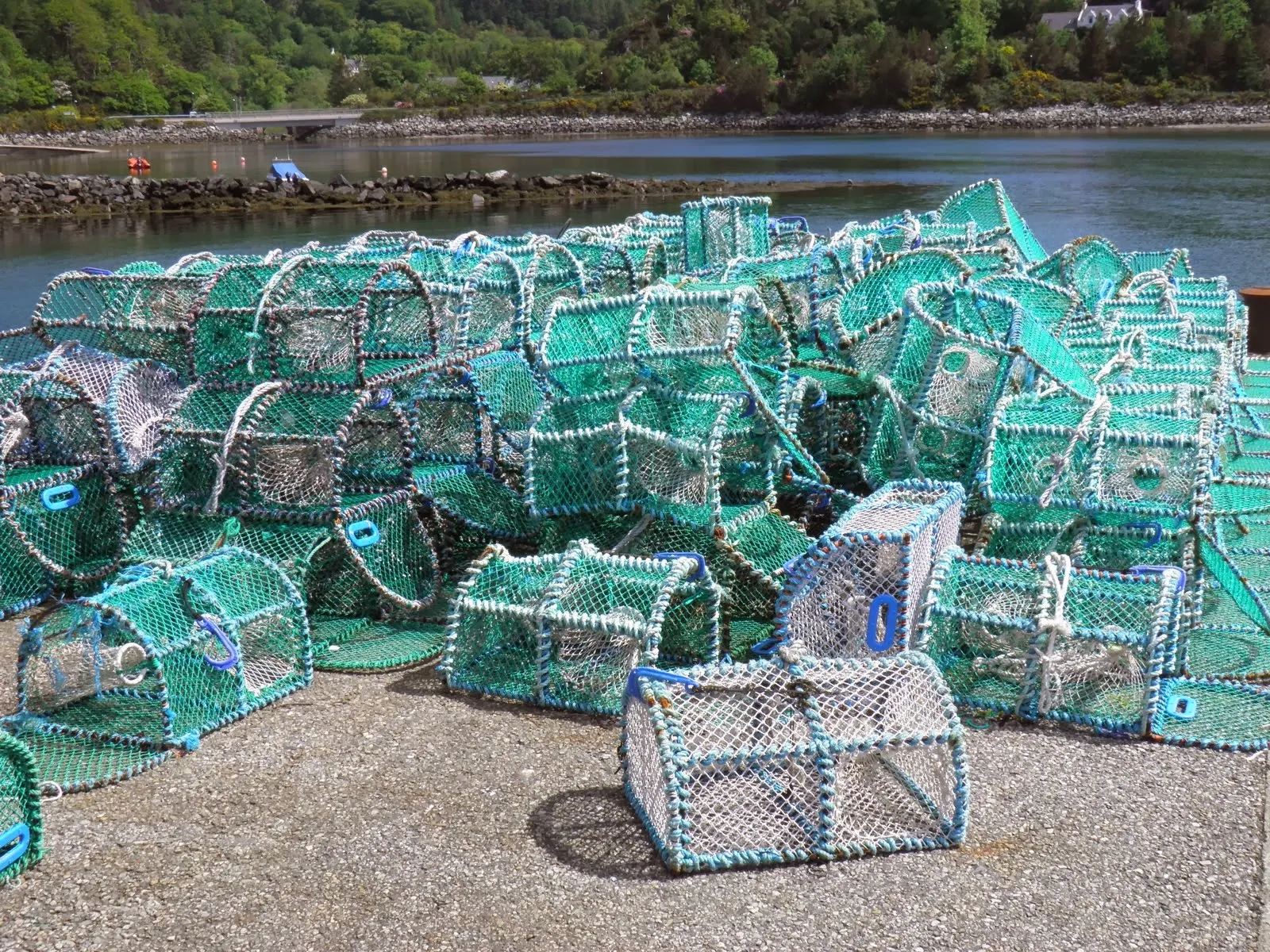 Seafishing For a Living
