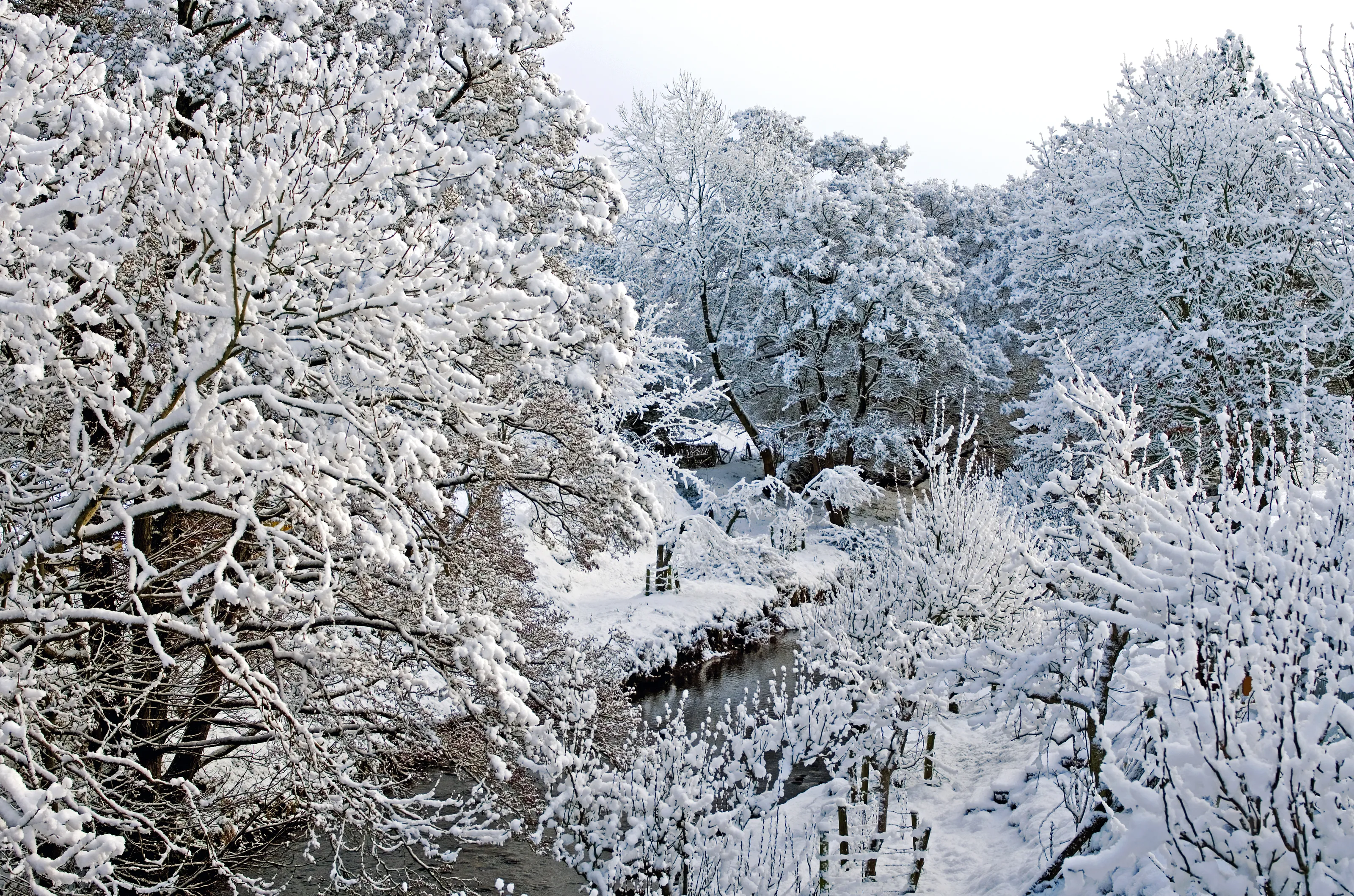 The Best of Winter