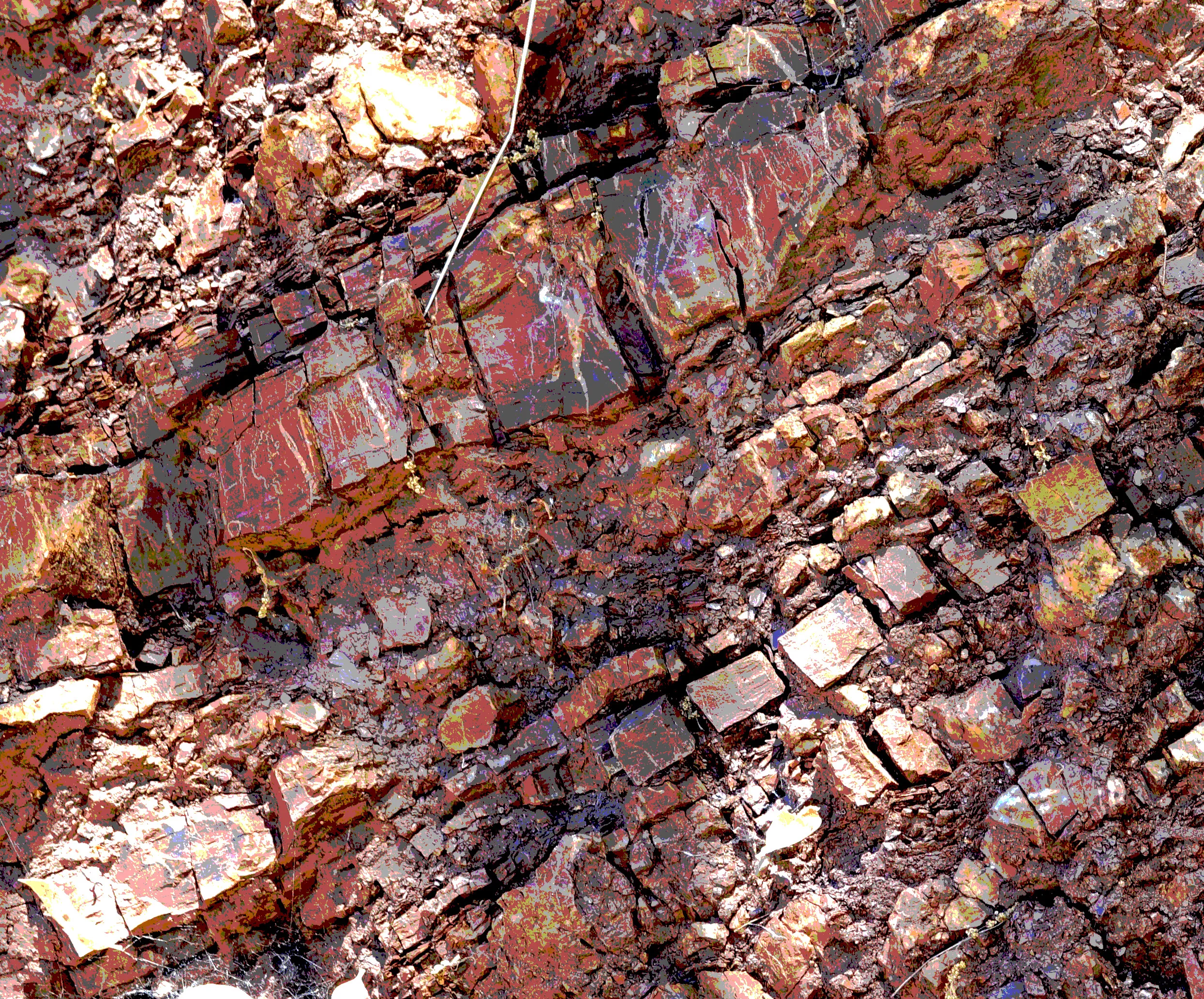 Patterns in Rock