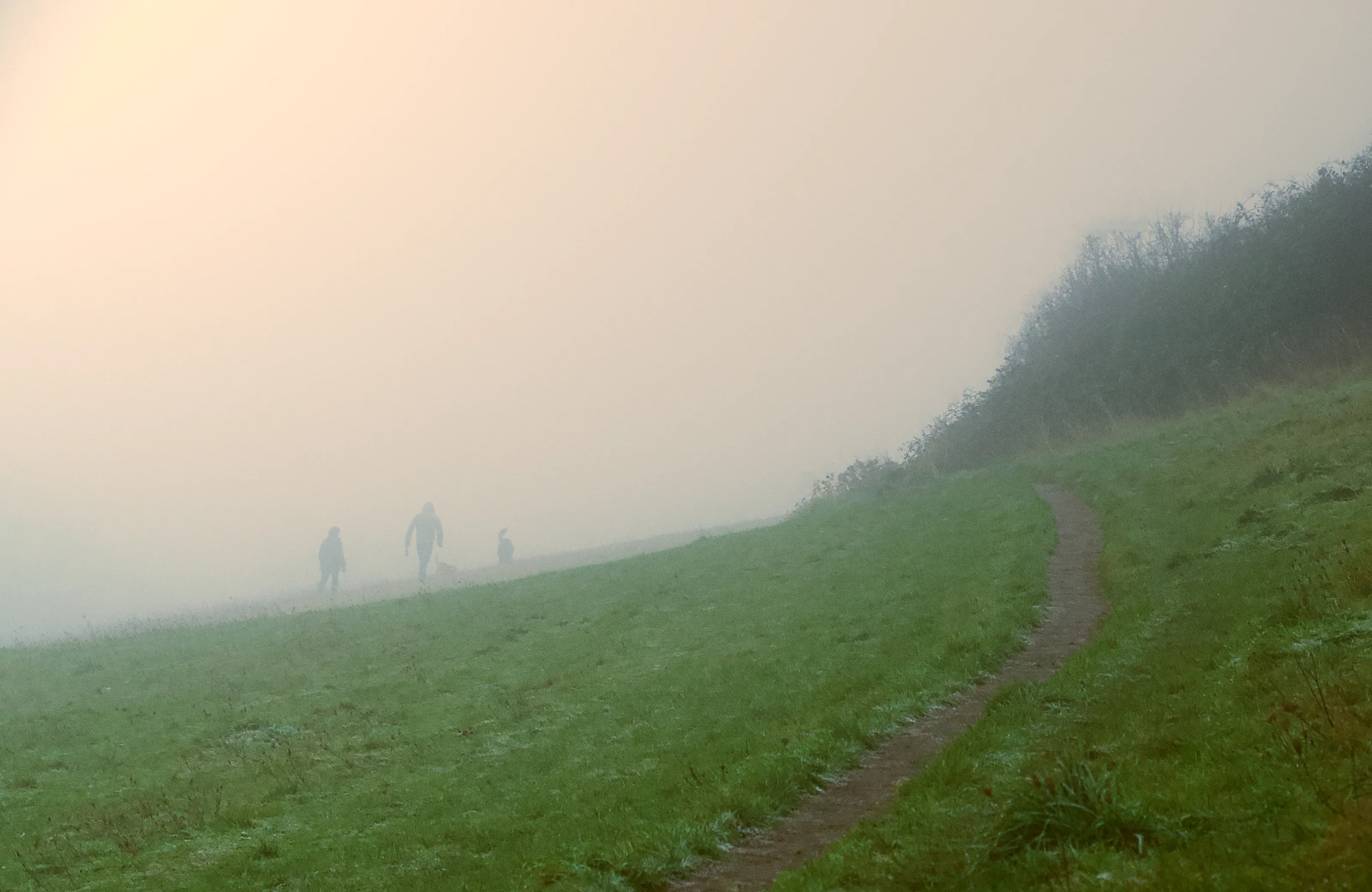 People Obscured by Mist or Fog