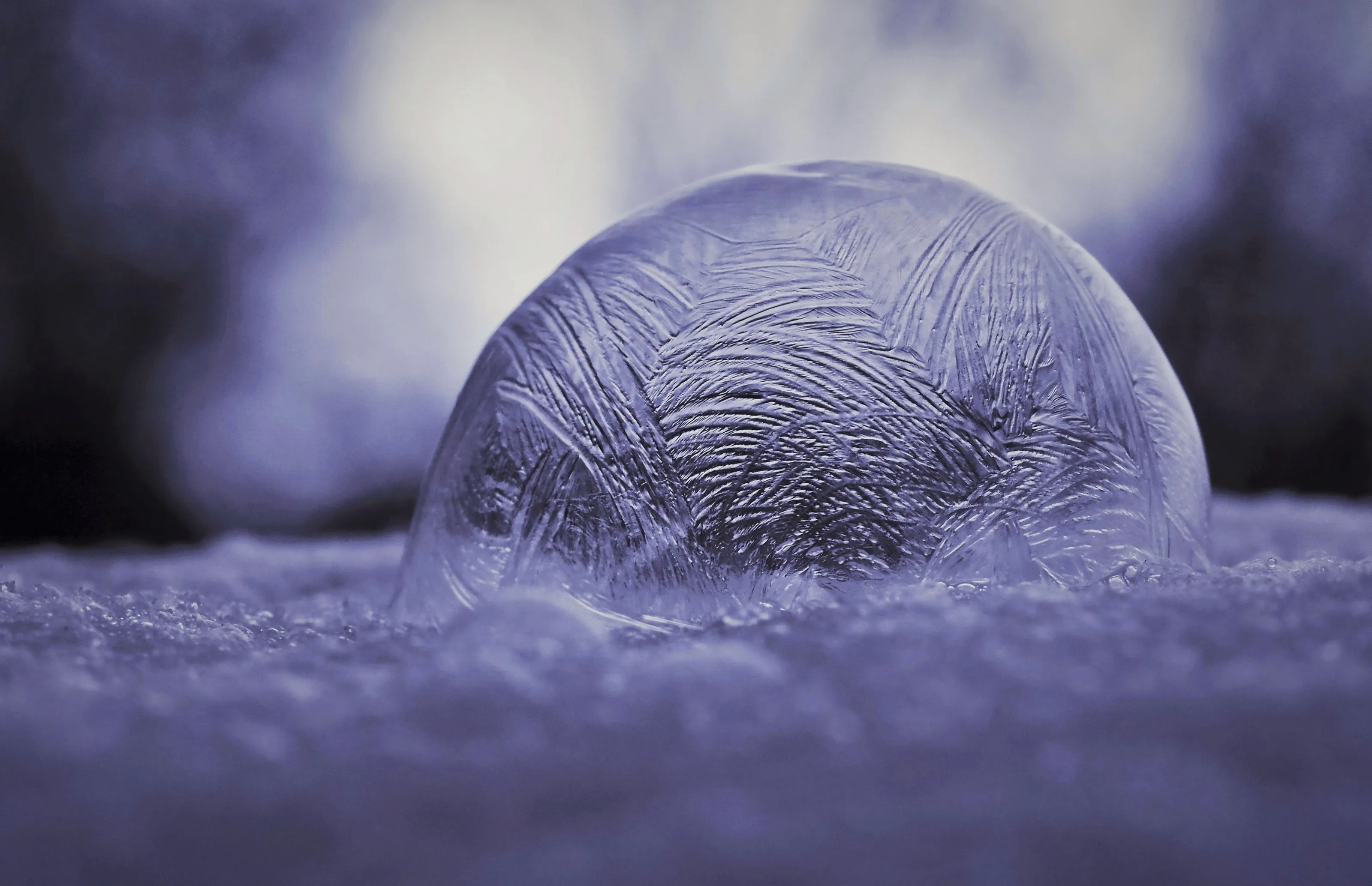 Frozen Bubbles and Bubbles in Ice