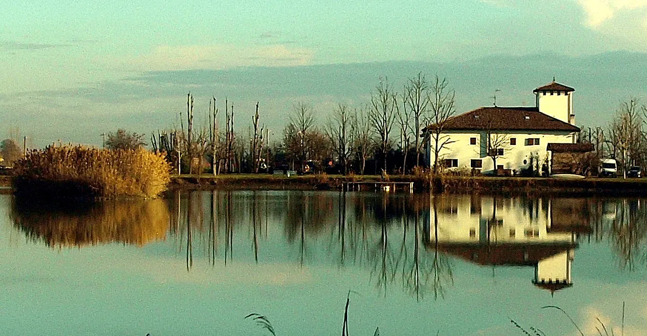 Reflections