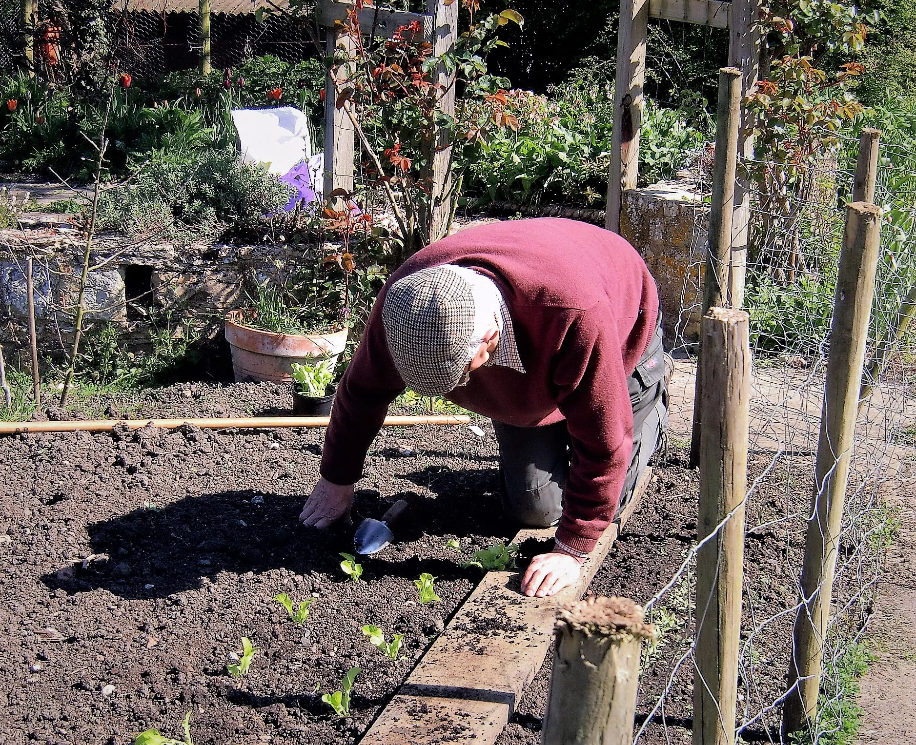 The Gardening Year (in colour)