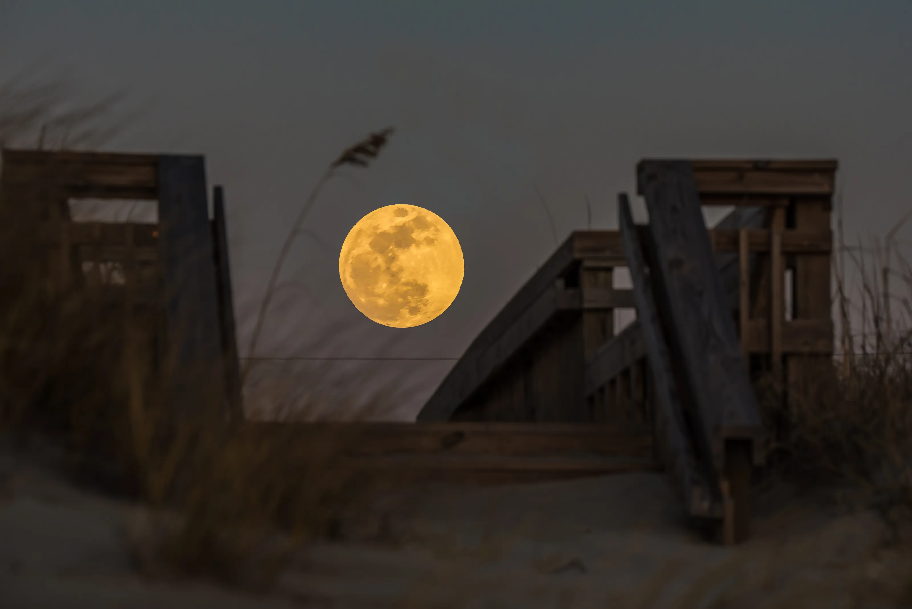 The Moon