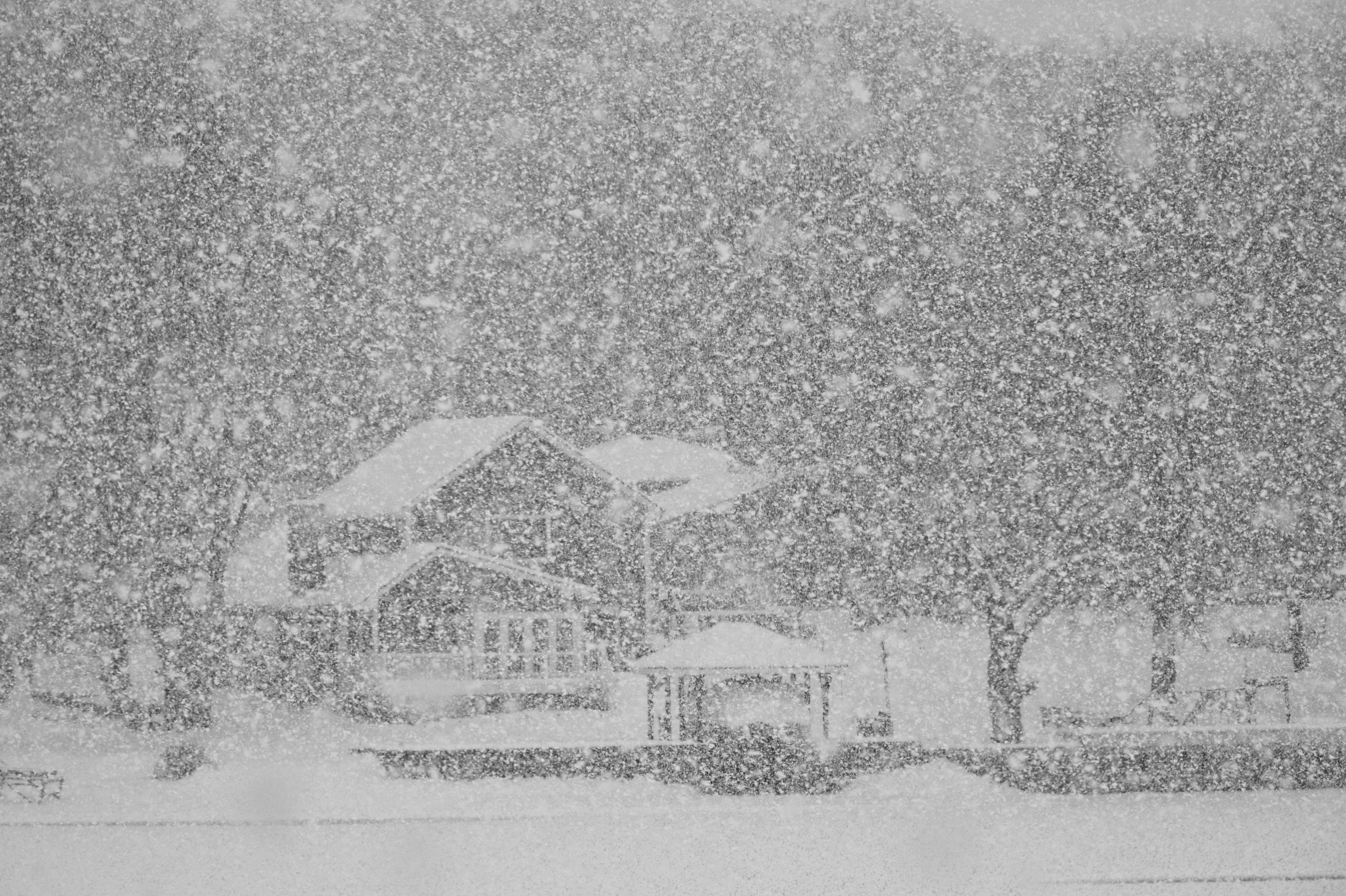 Falling Snow
