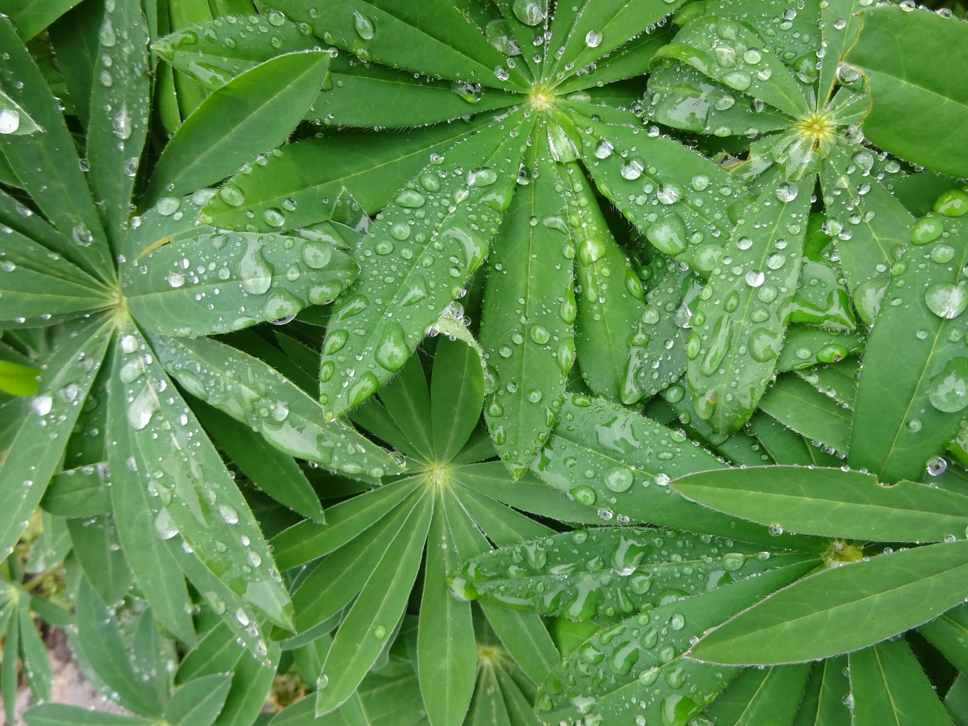 Different Forms of Water