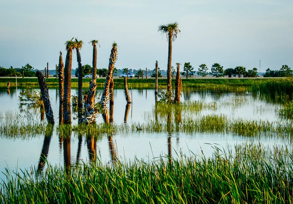 Florida State, USA
