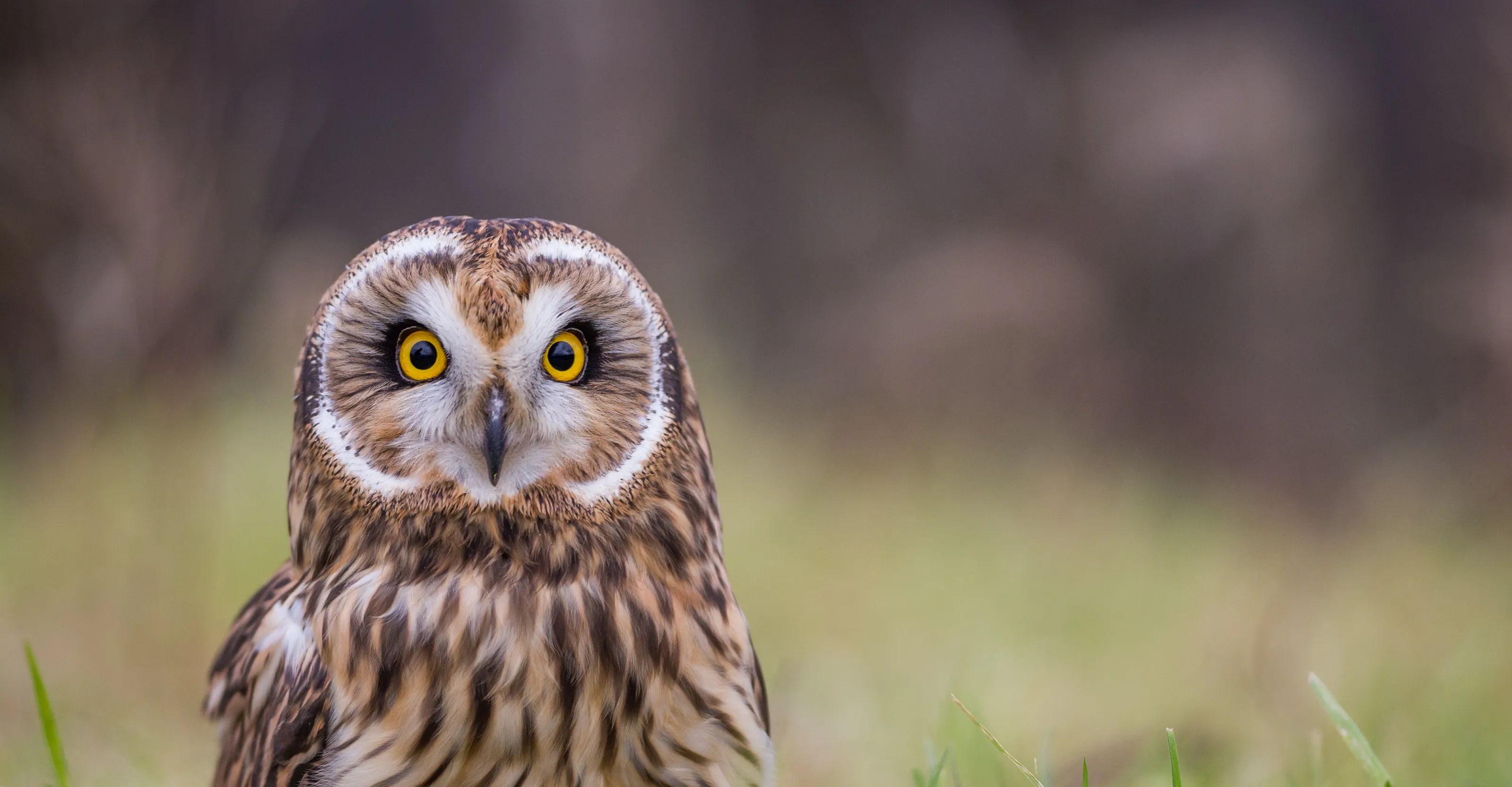 Wide-aperture imagery