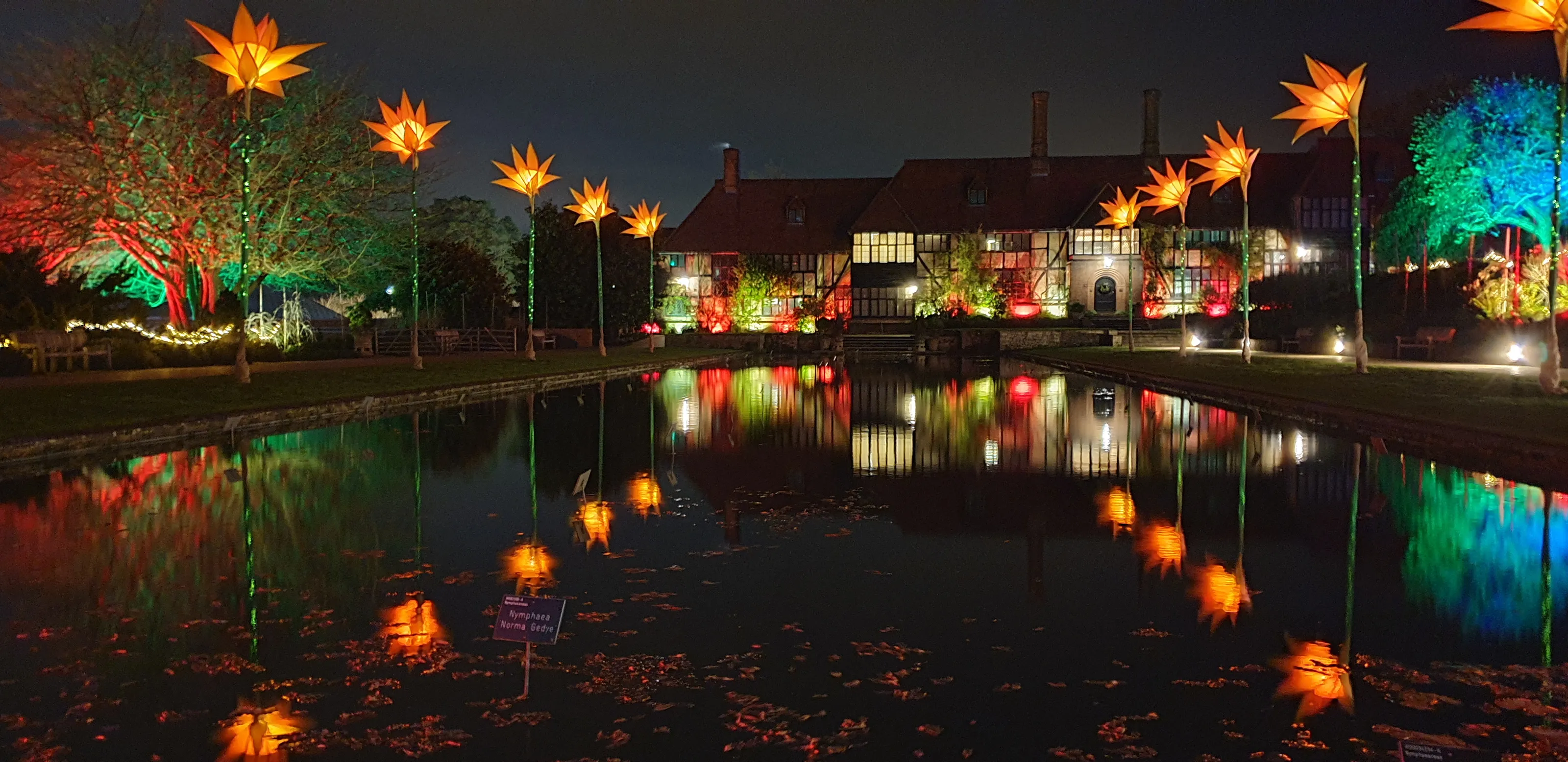 Decorative Lights at Night