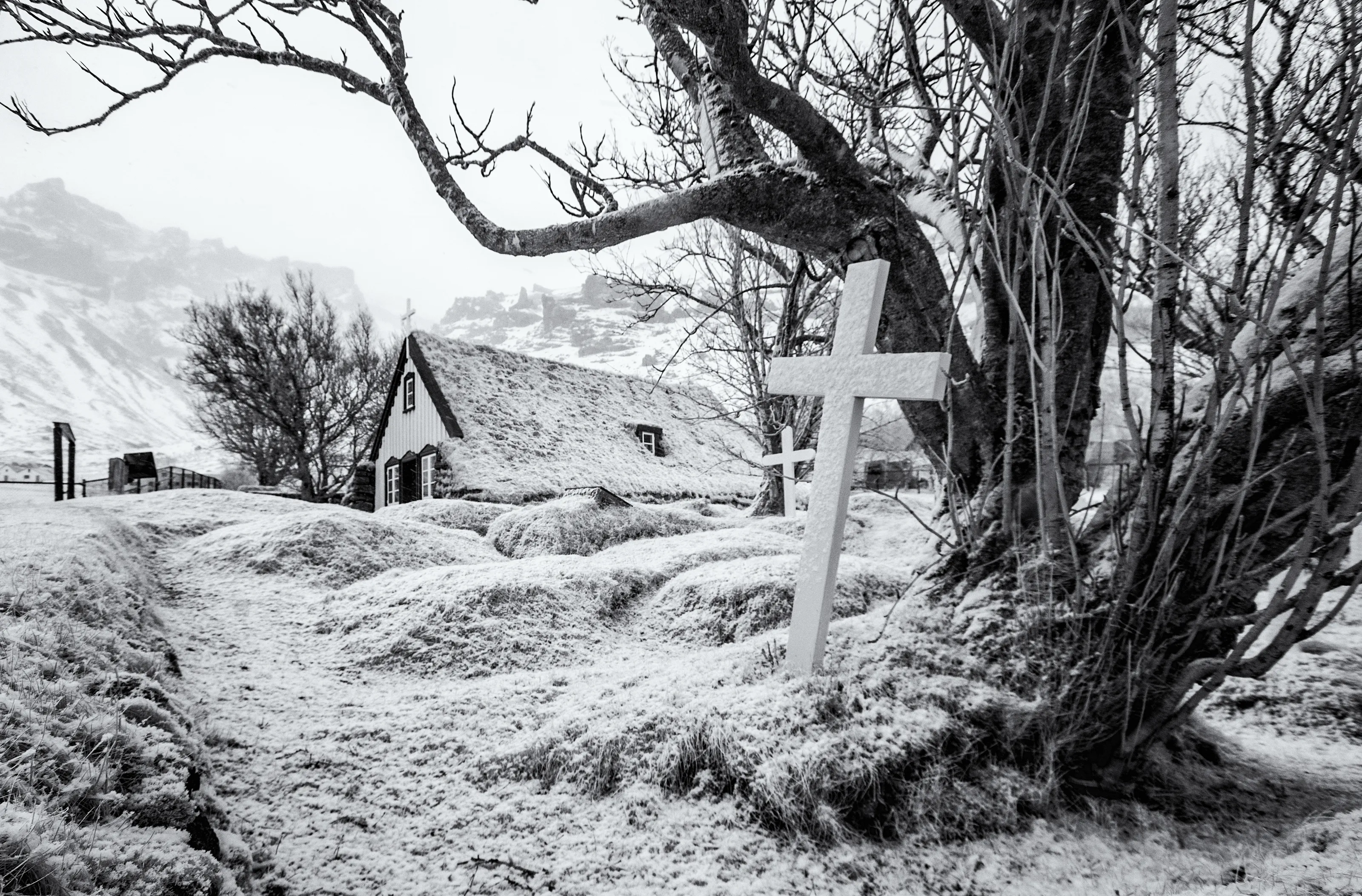Black and White Infrared