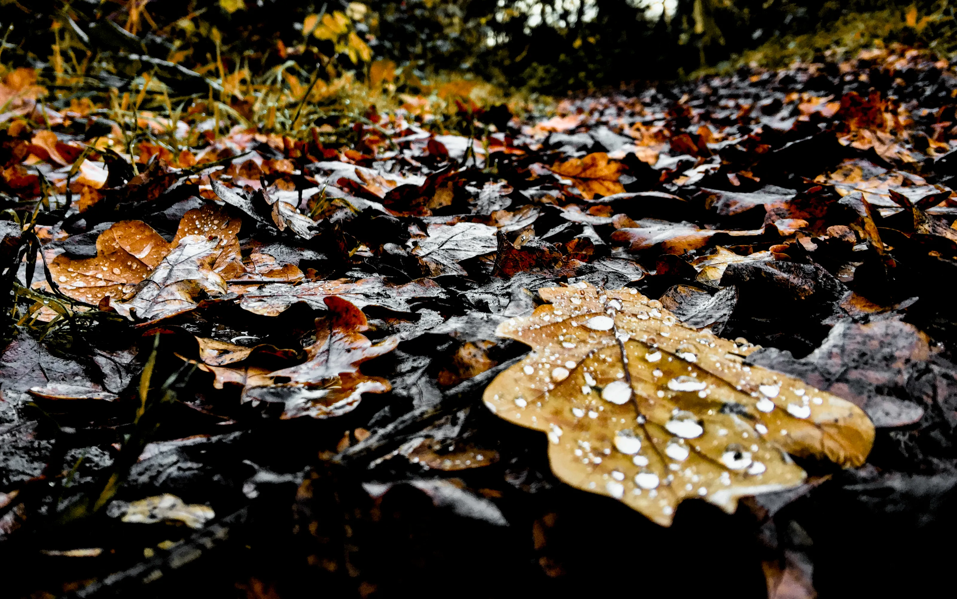 Ground Level