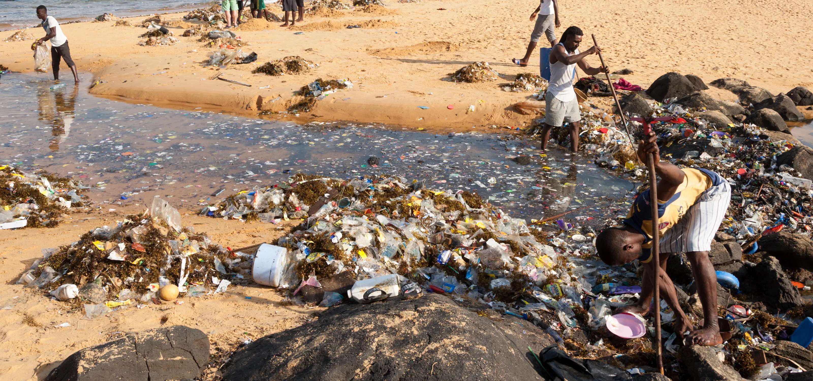 Plastic Pollution