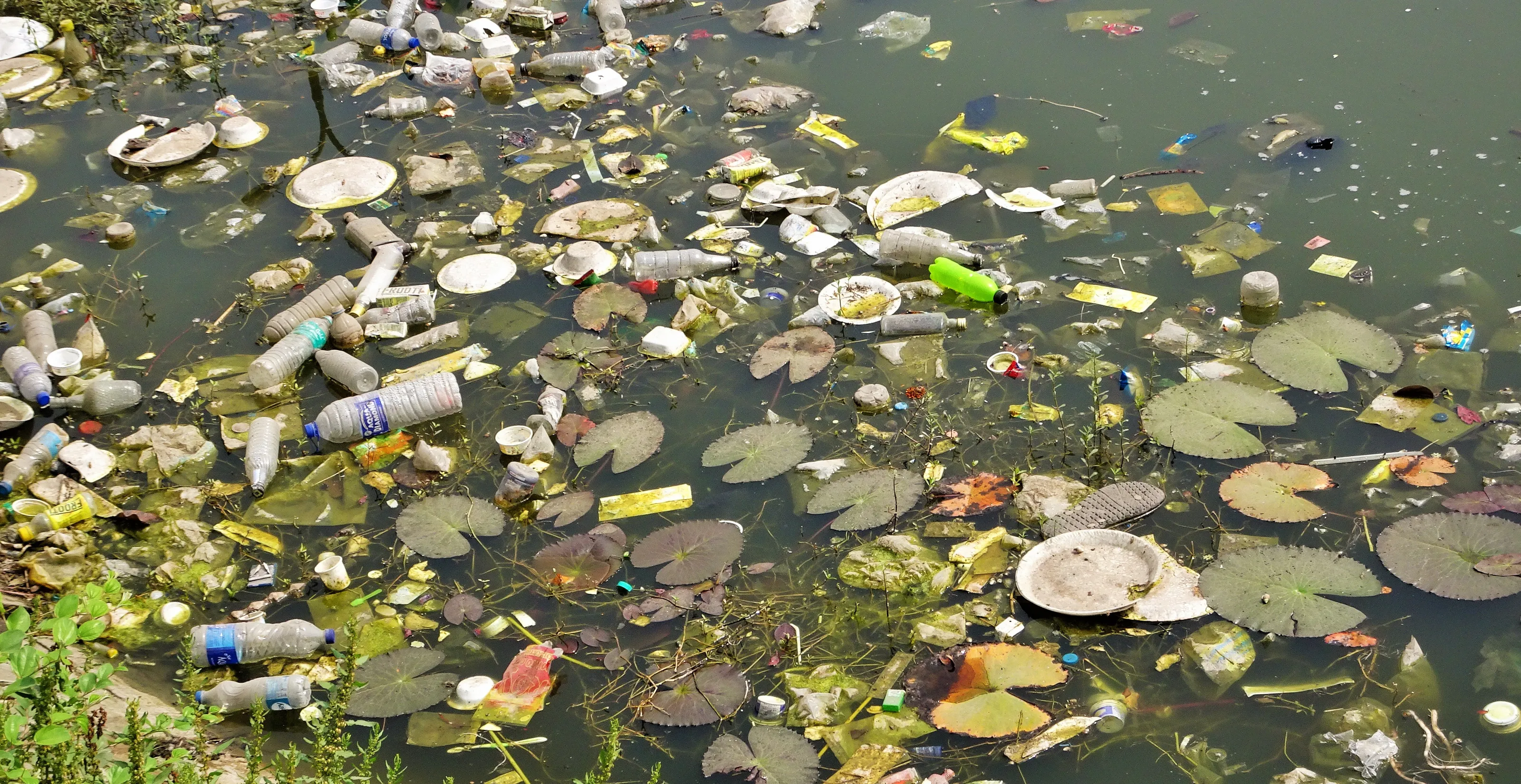 Plastic Pollution