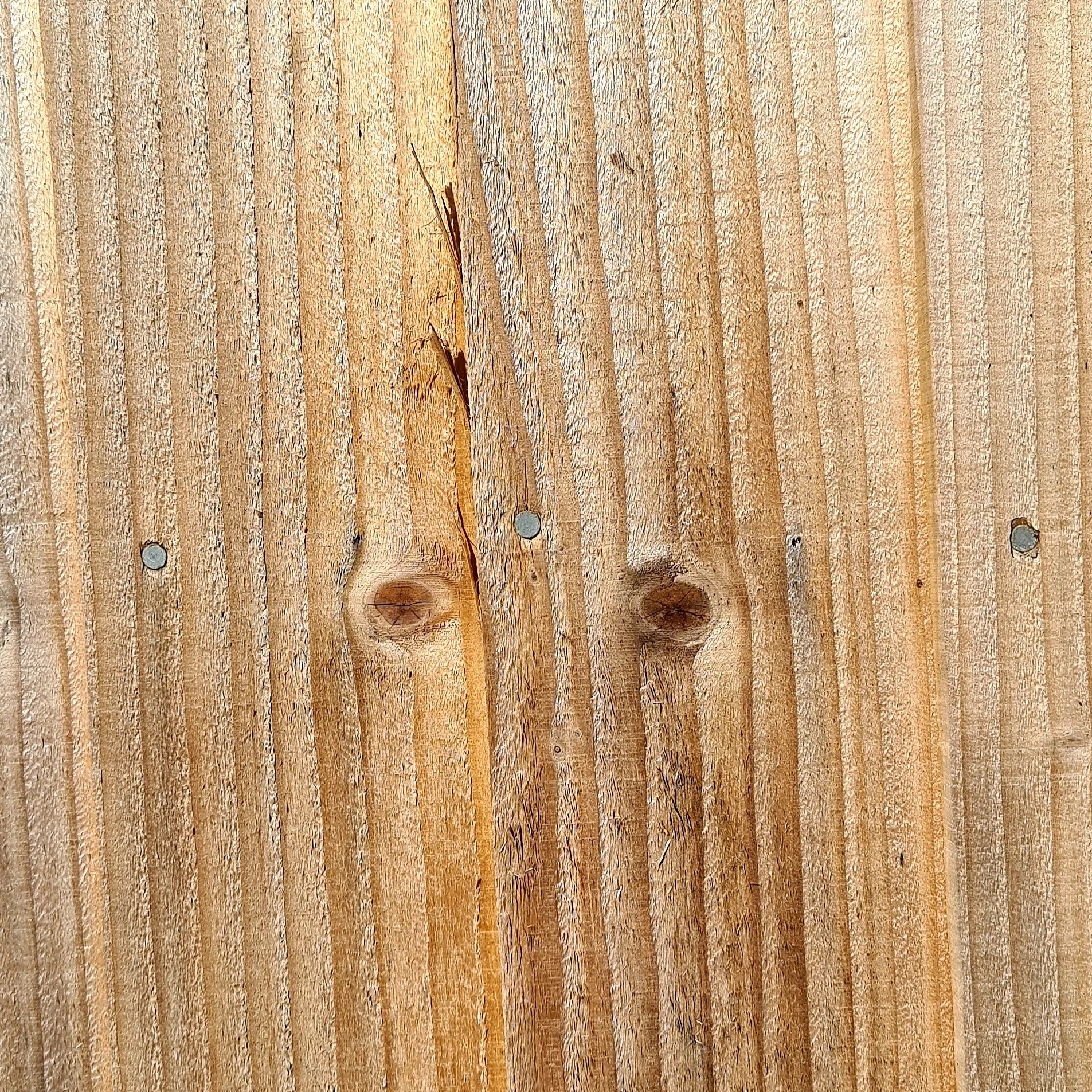 Wooden Fences in Colour