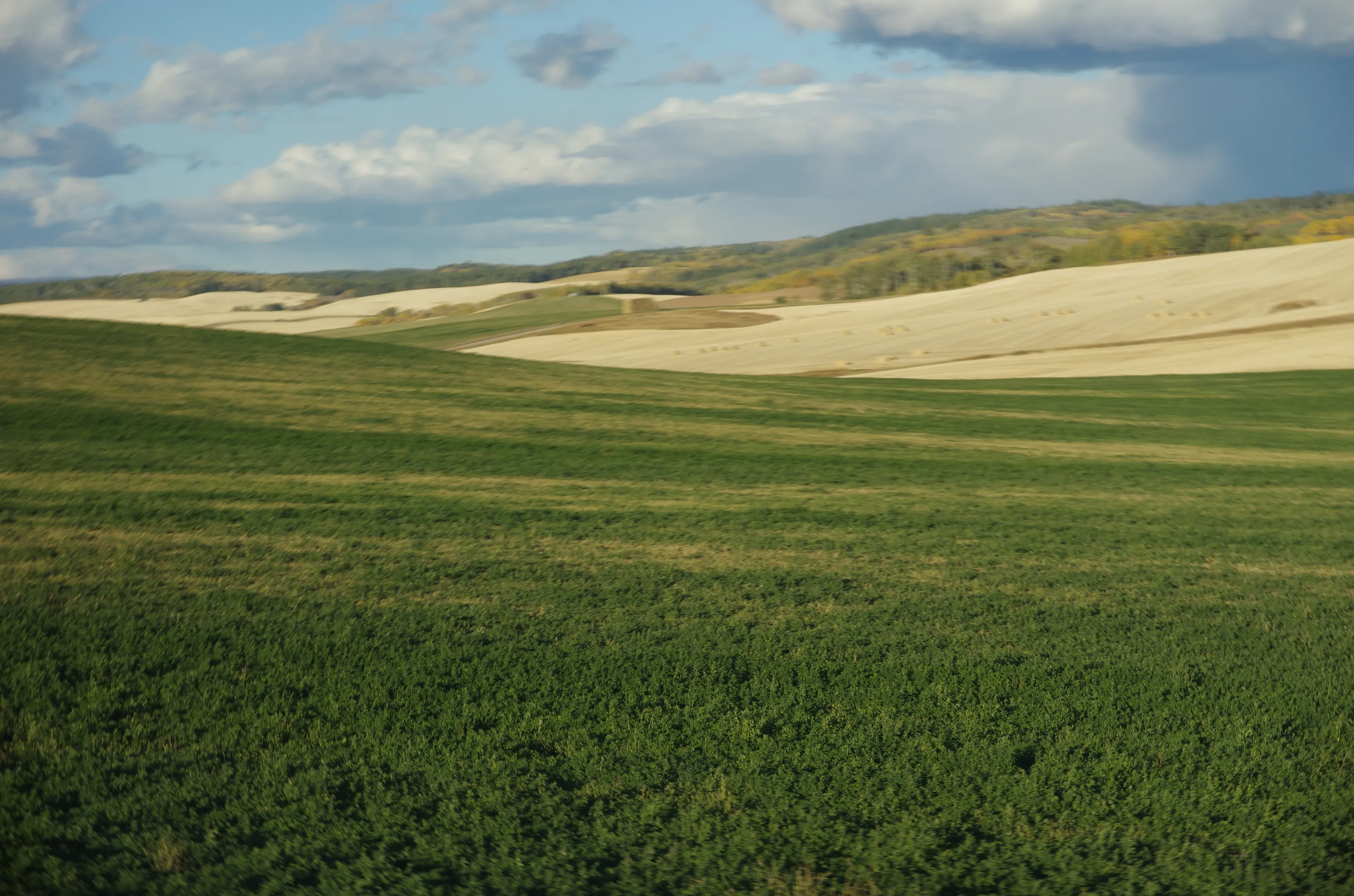 Farmland