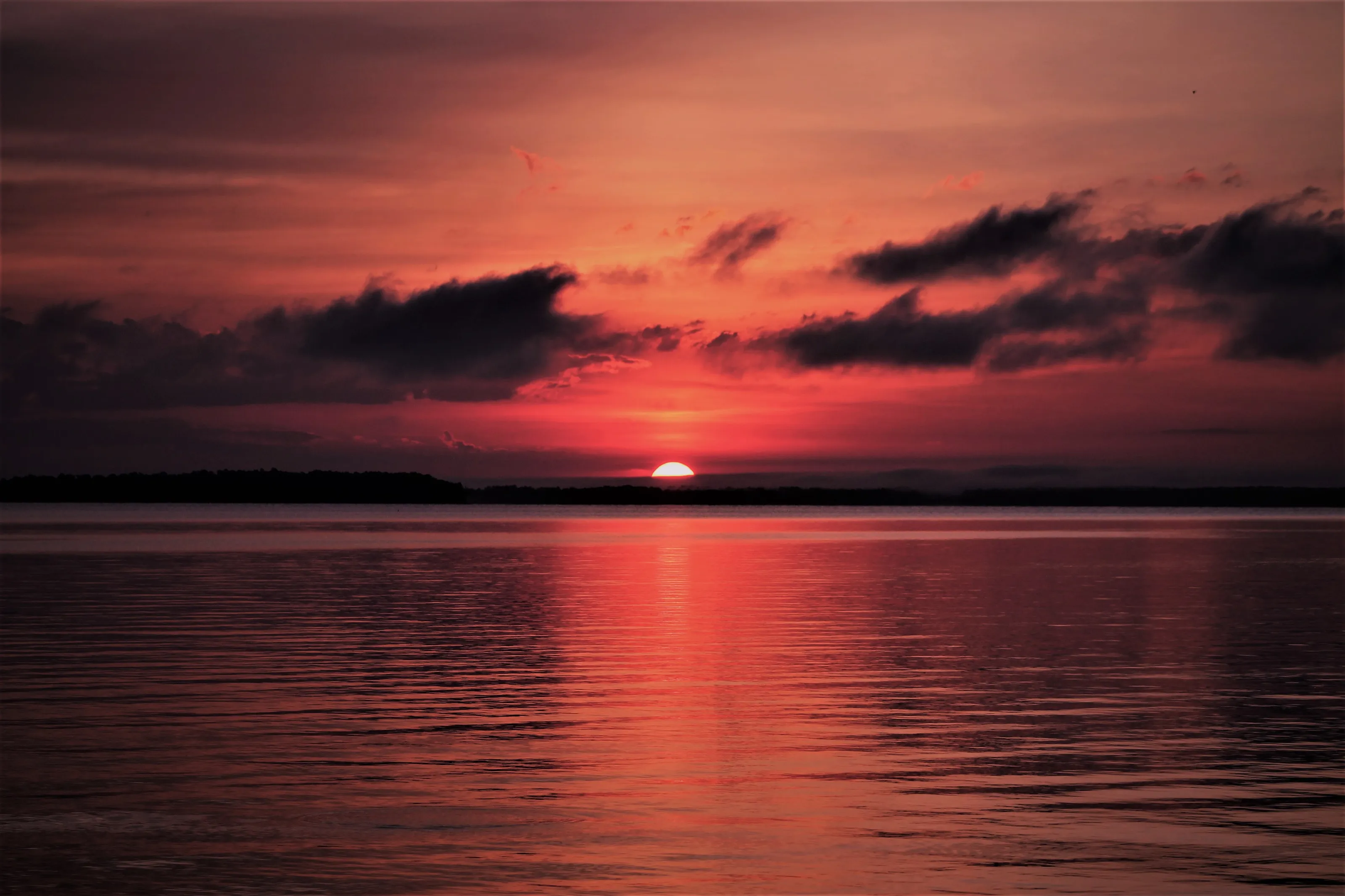 Sun-Tinted Waters