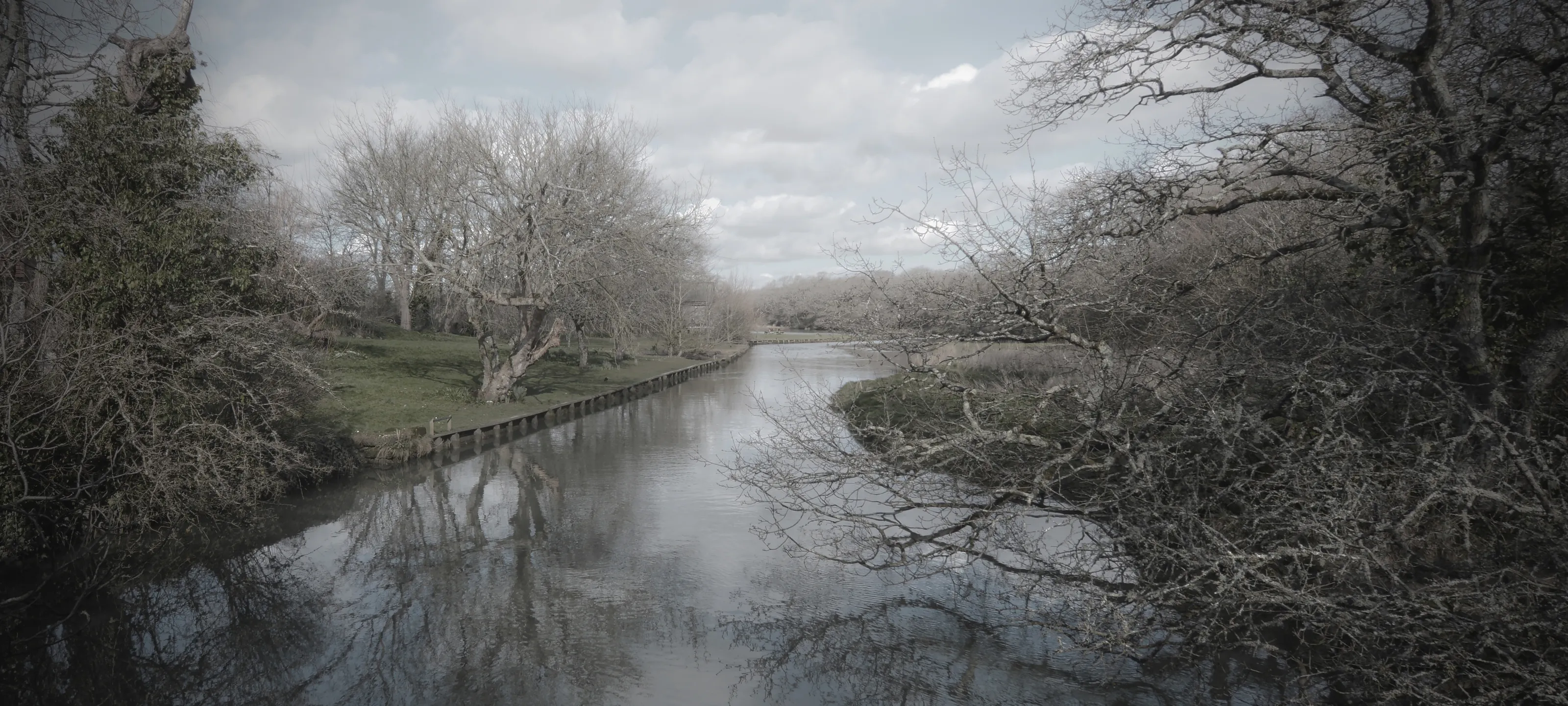Low Colour Saturation - Countryside or Forests