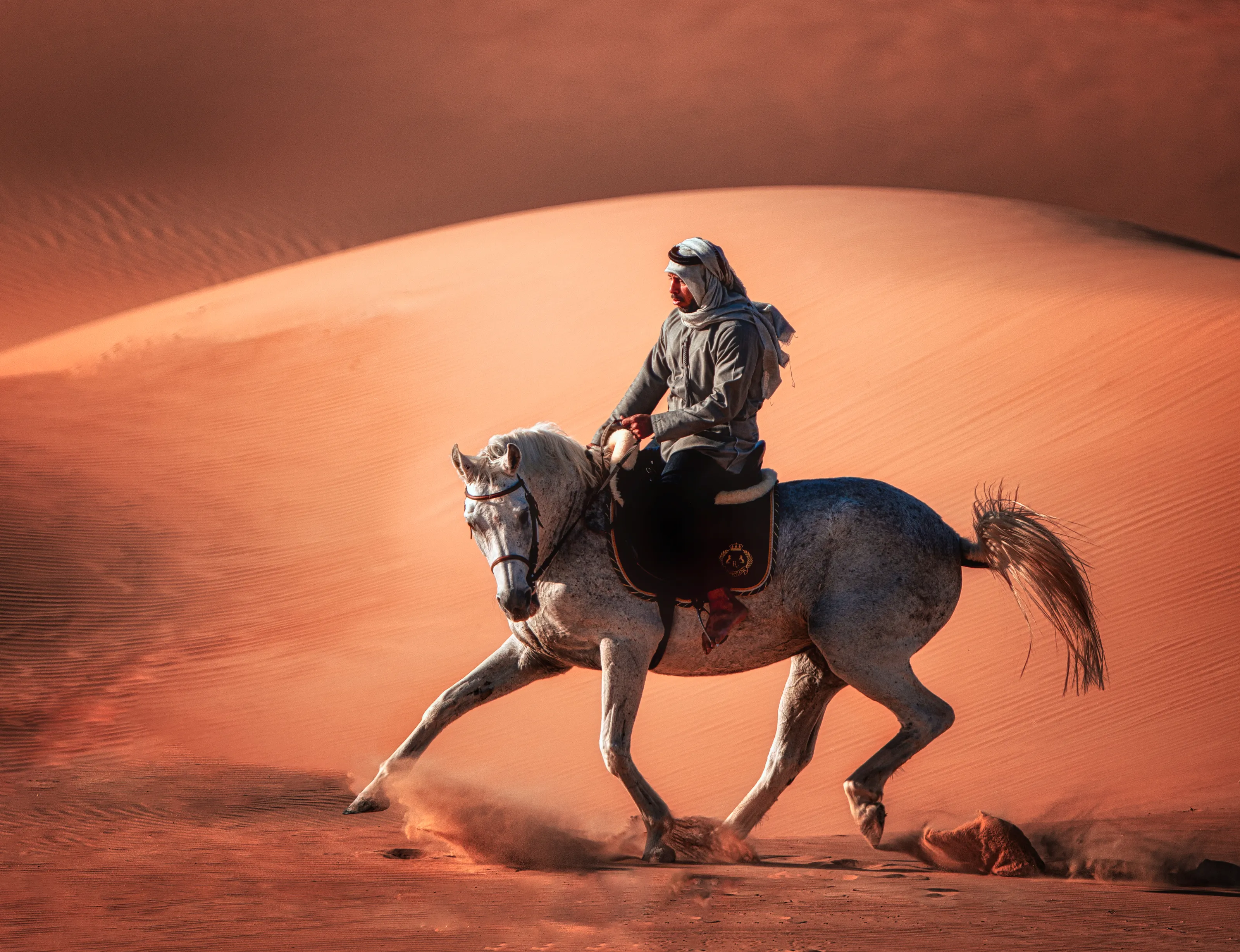 Horses