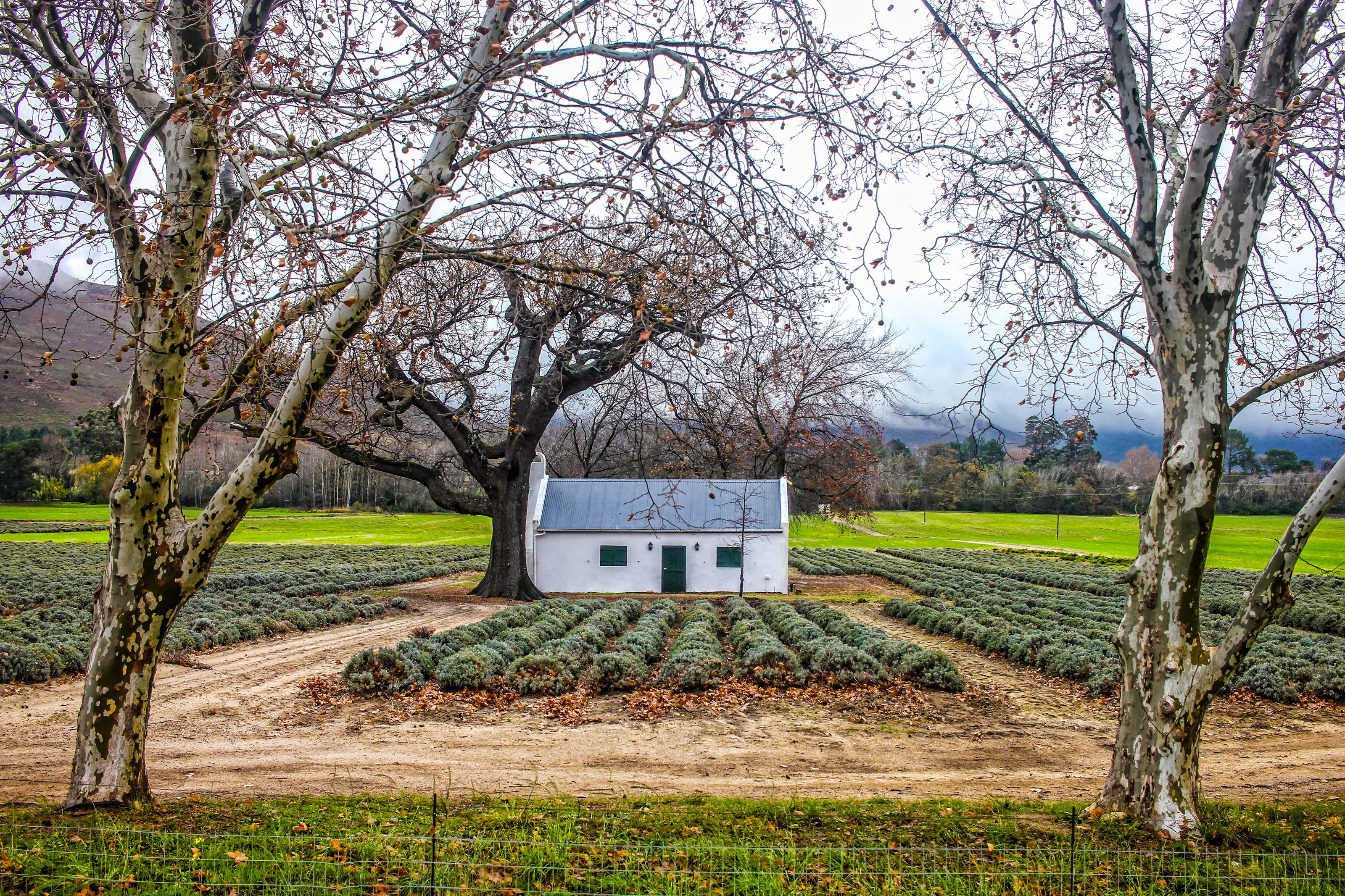 Buildings in the Countryside