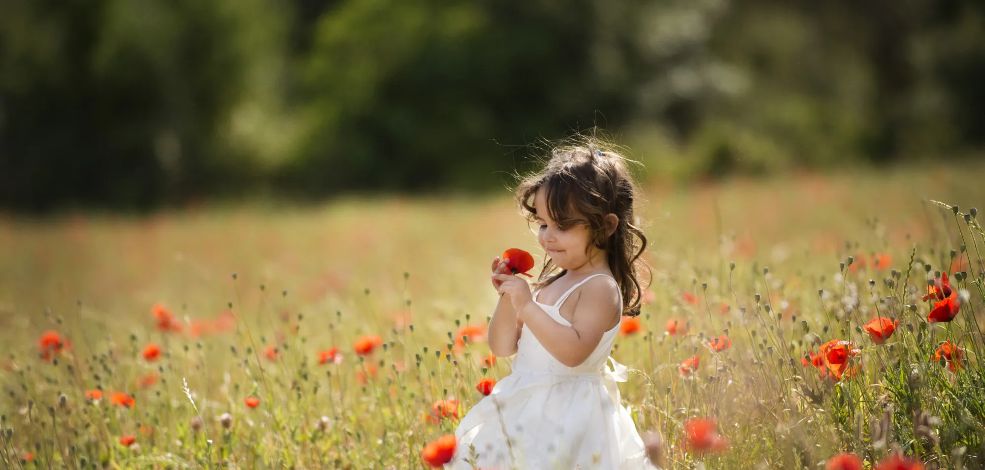 Spring sunshine