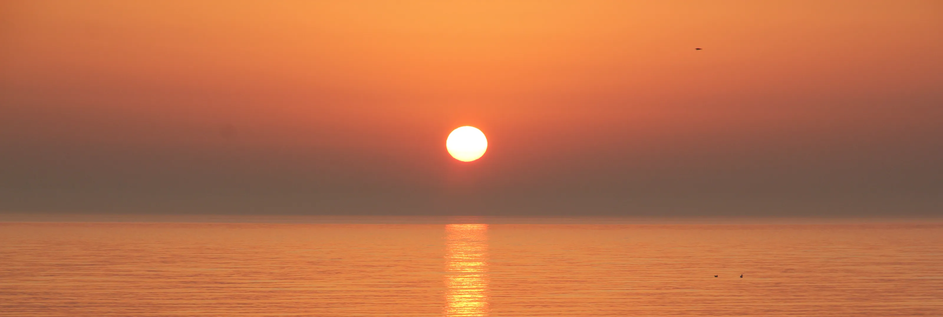 The Sun