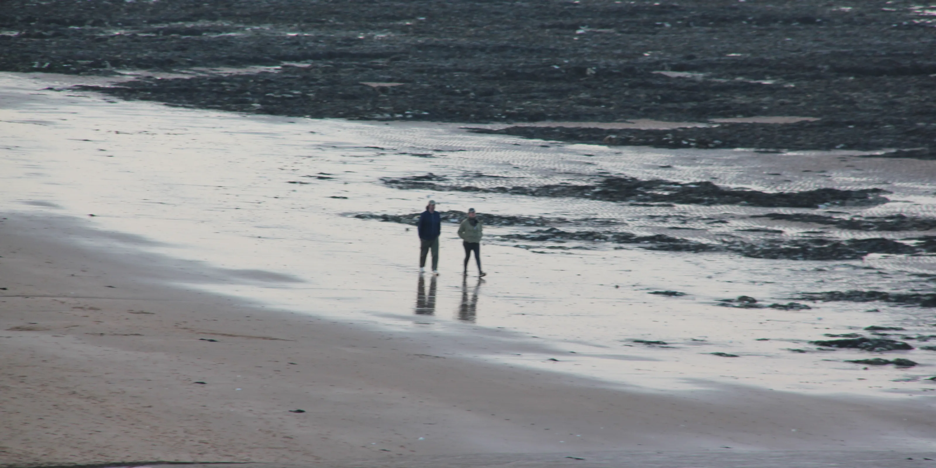 People Taking a Walk (no animals)