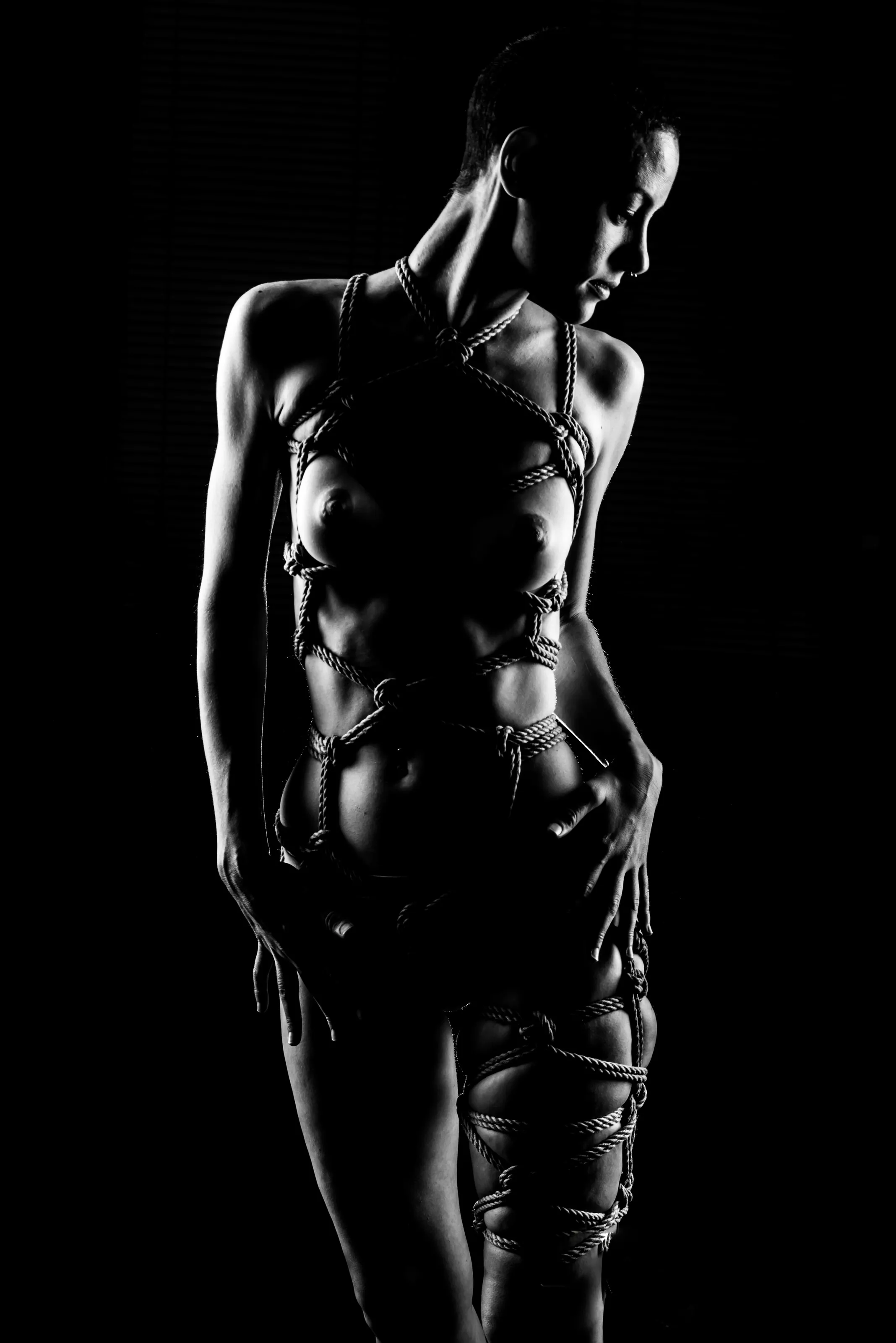 Creative Studio Lighting