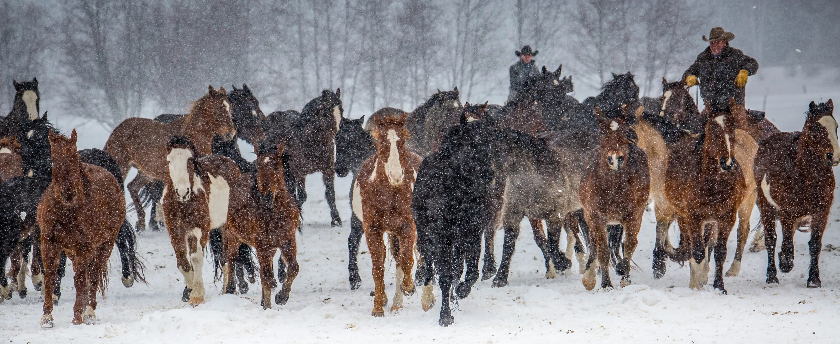 Cowboy Lore and the American West