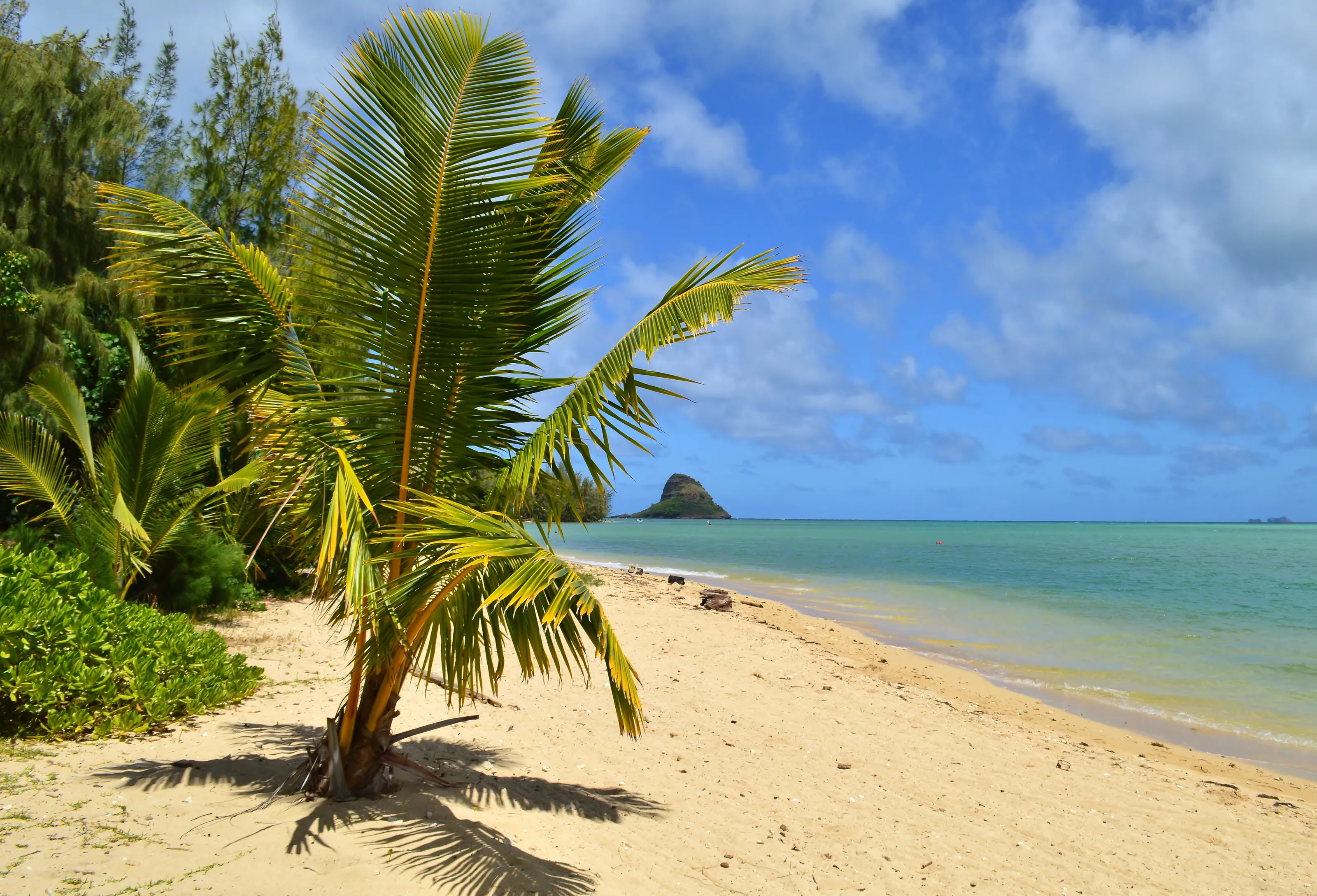 Your Favourite Vacation Place