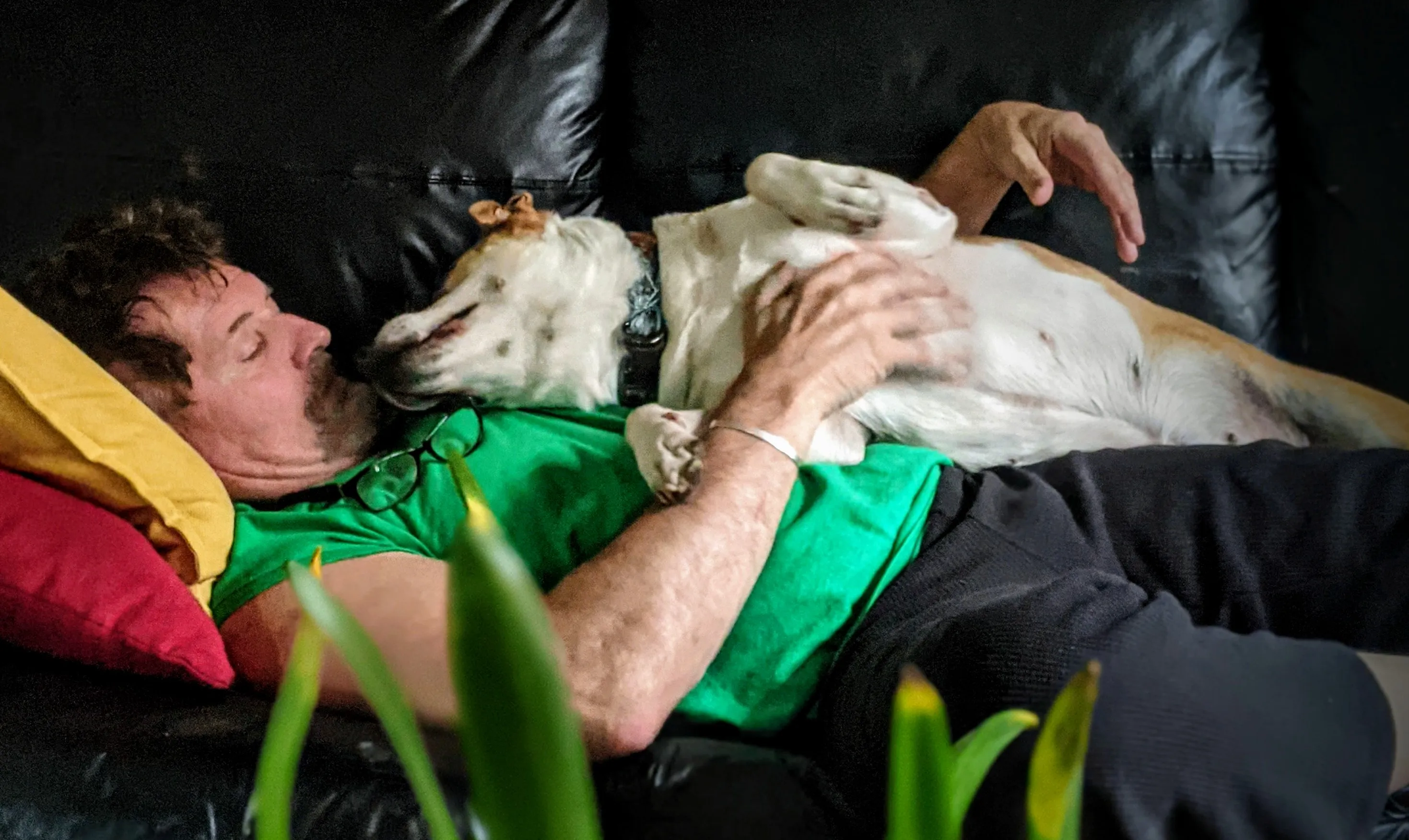 A Man or Boy with a Dog