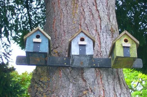 Bird Houses