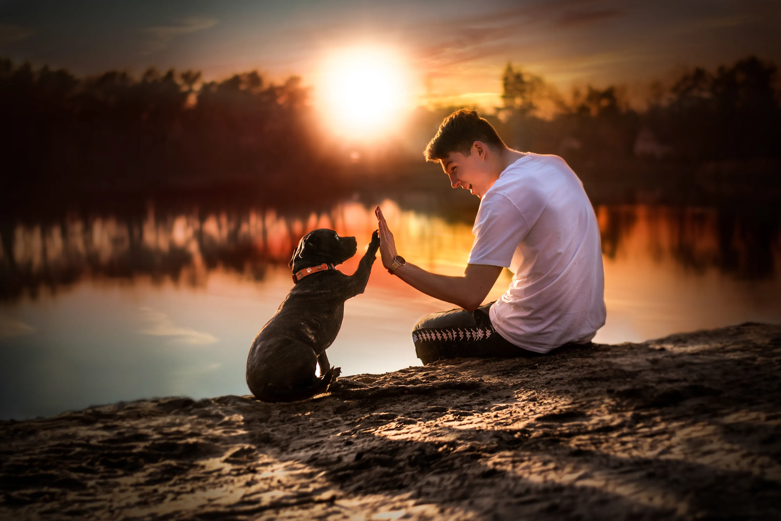 Humans Interacting with Animals