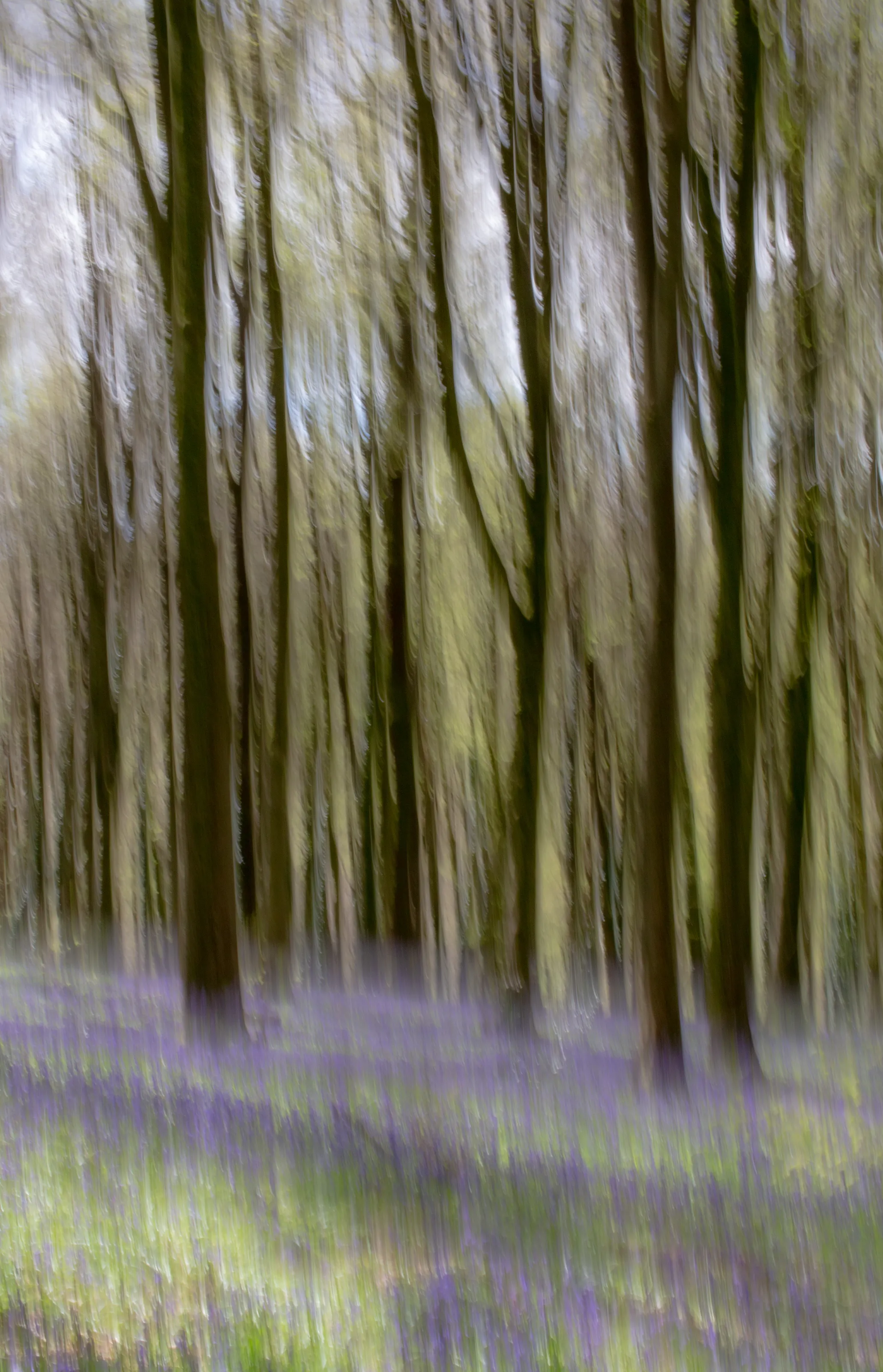 Intentional Camera Movement