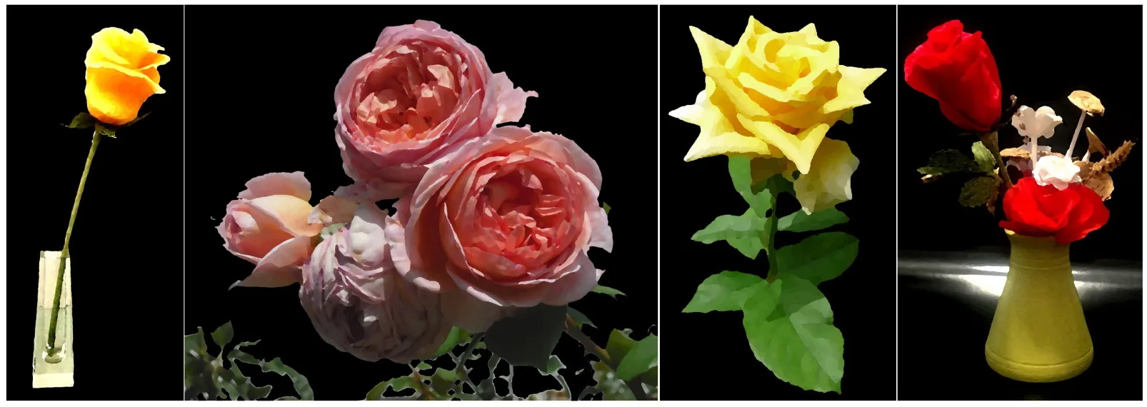 Flowers on a Black Background