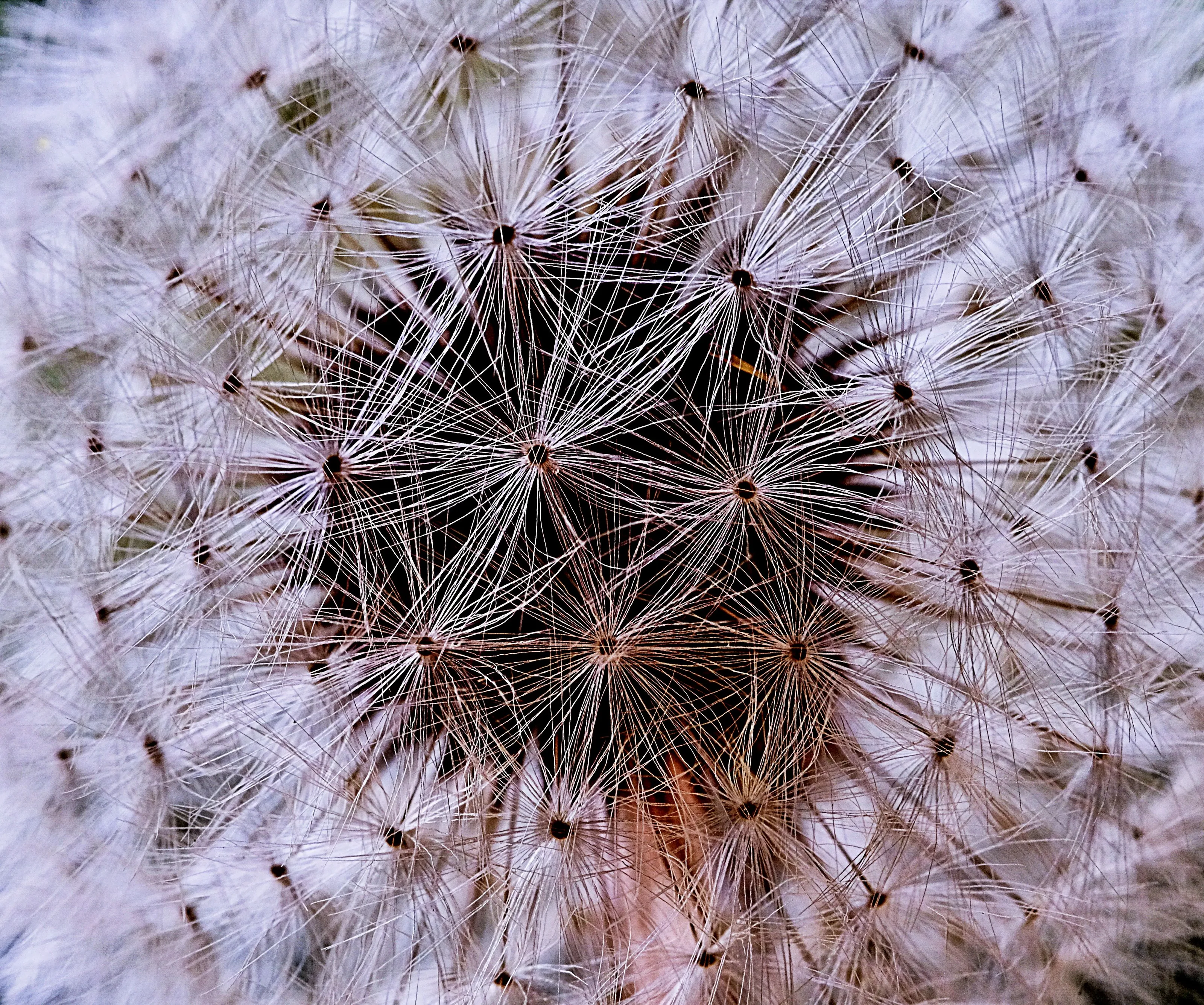 Natural Abstracts in Nature (colour only)