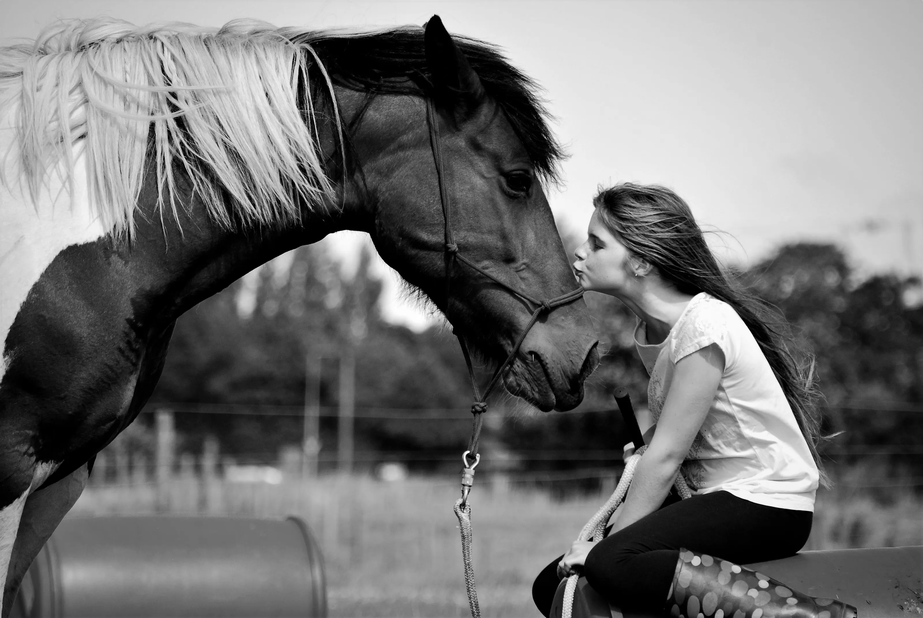 Horses and Their People