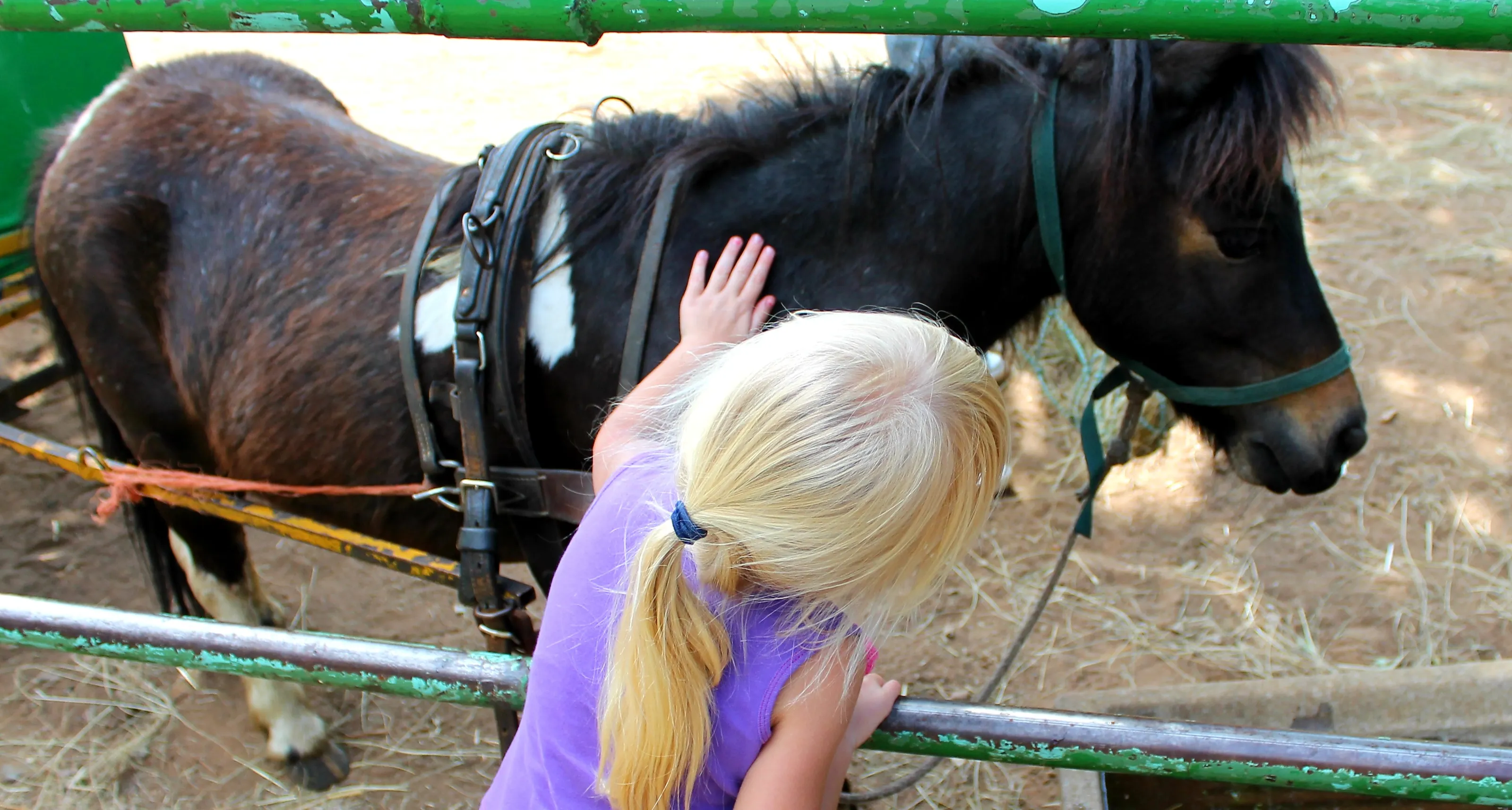 Children and Farm Animals (in colour)
