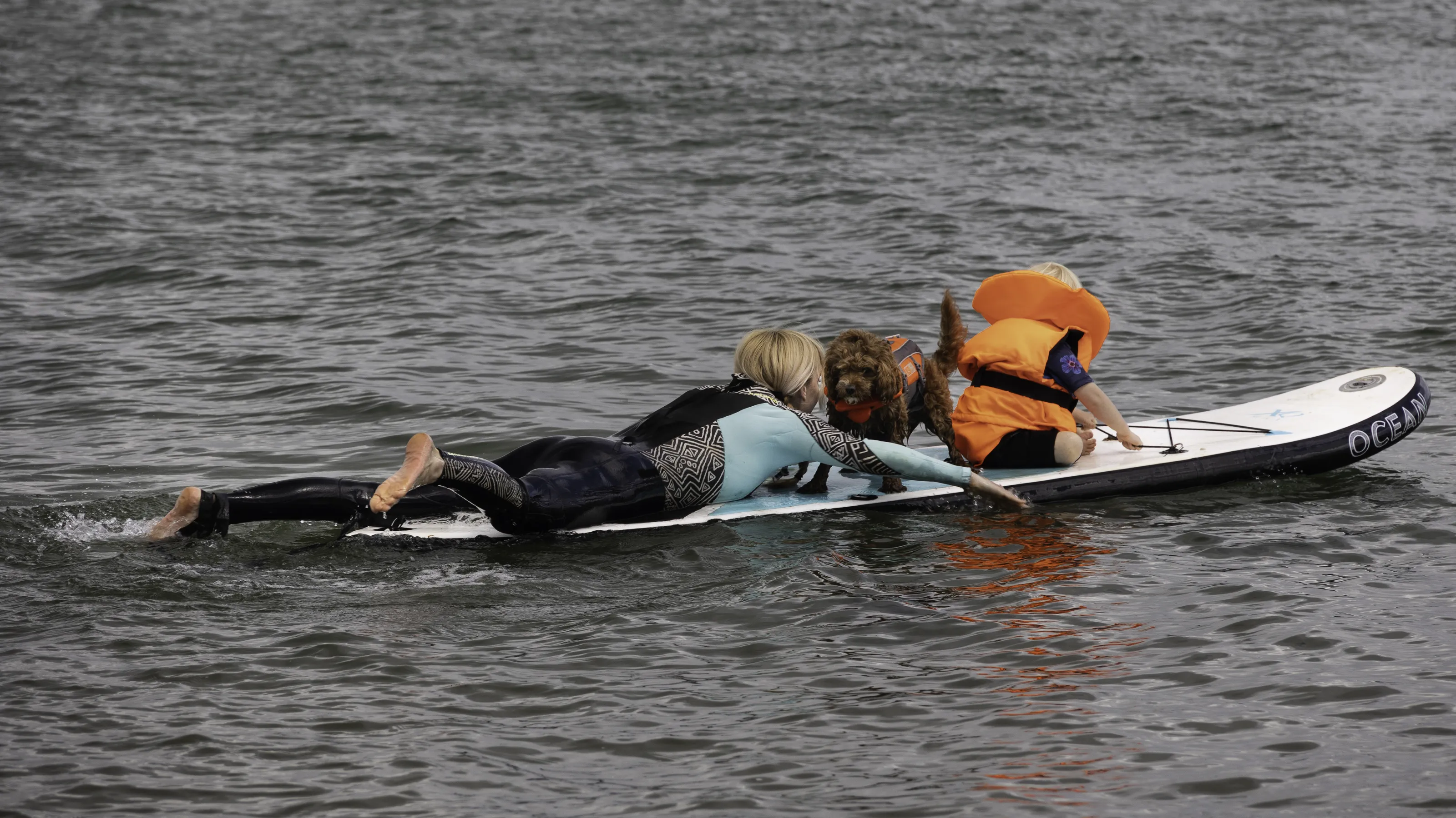Surfing, Paddleboarding, Kayaking and Canoeing