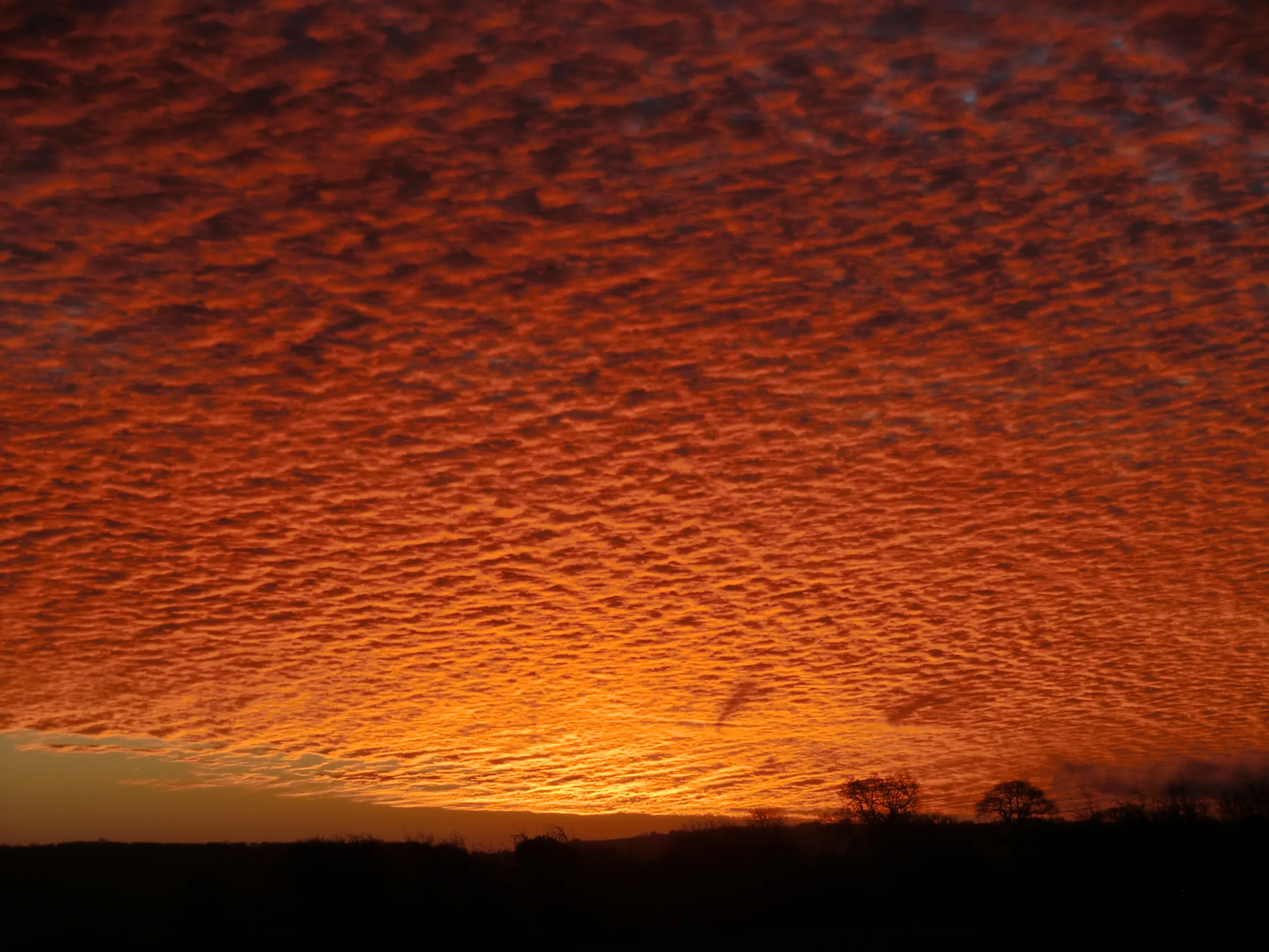 The Colour Orange